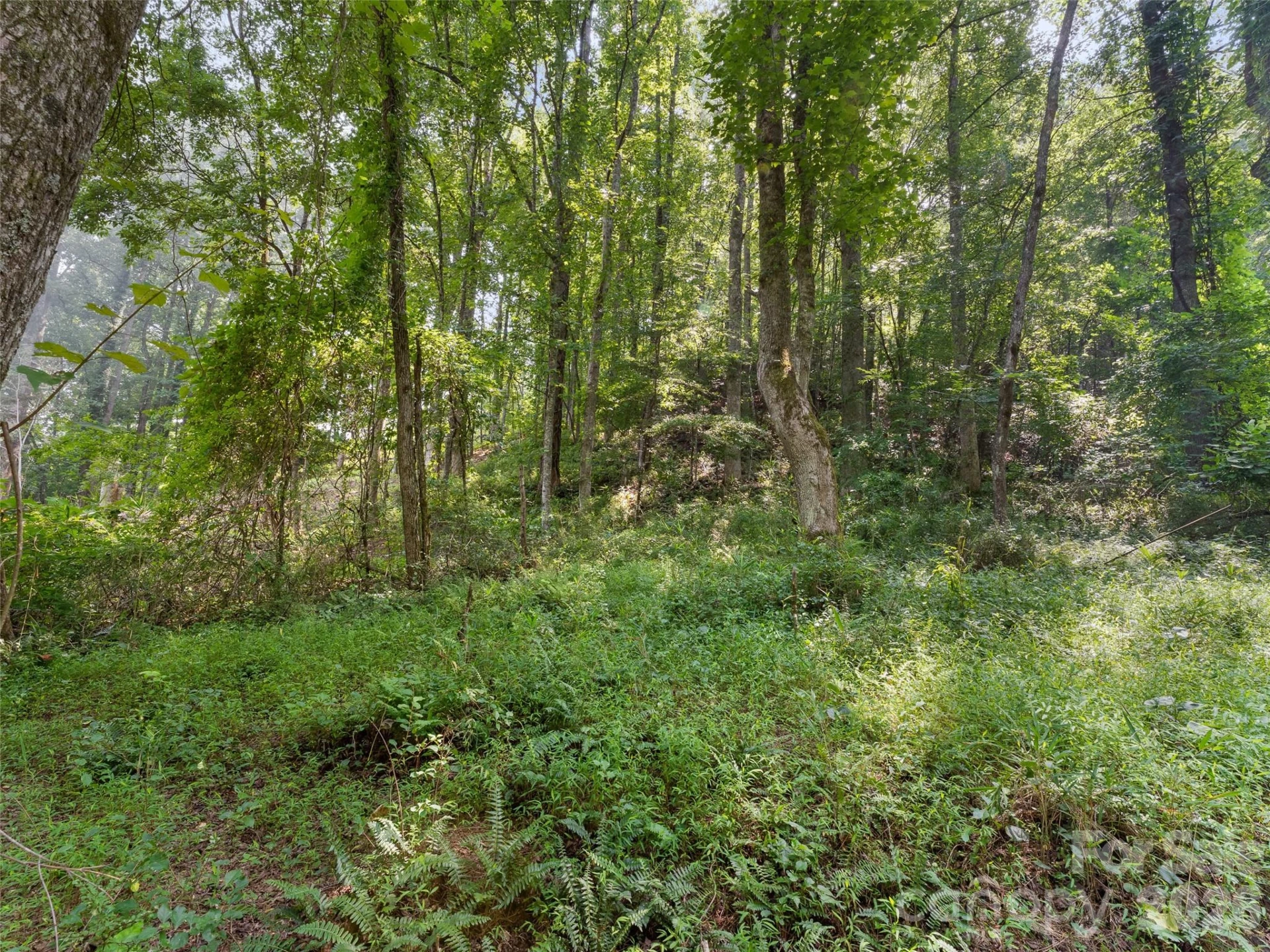 1110 Probart Street #3 - Photo 6