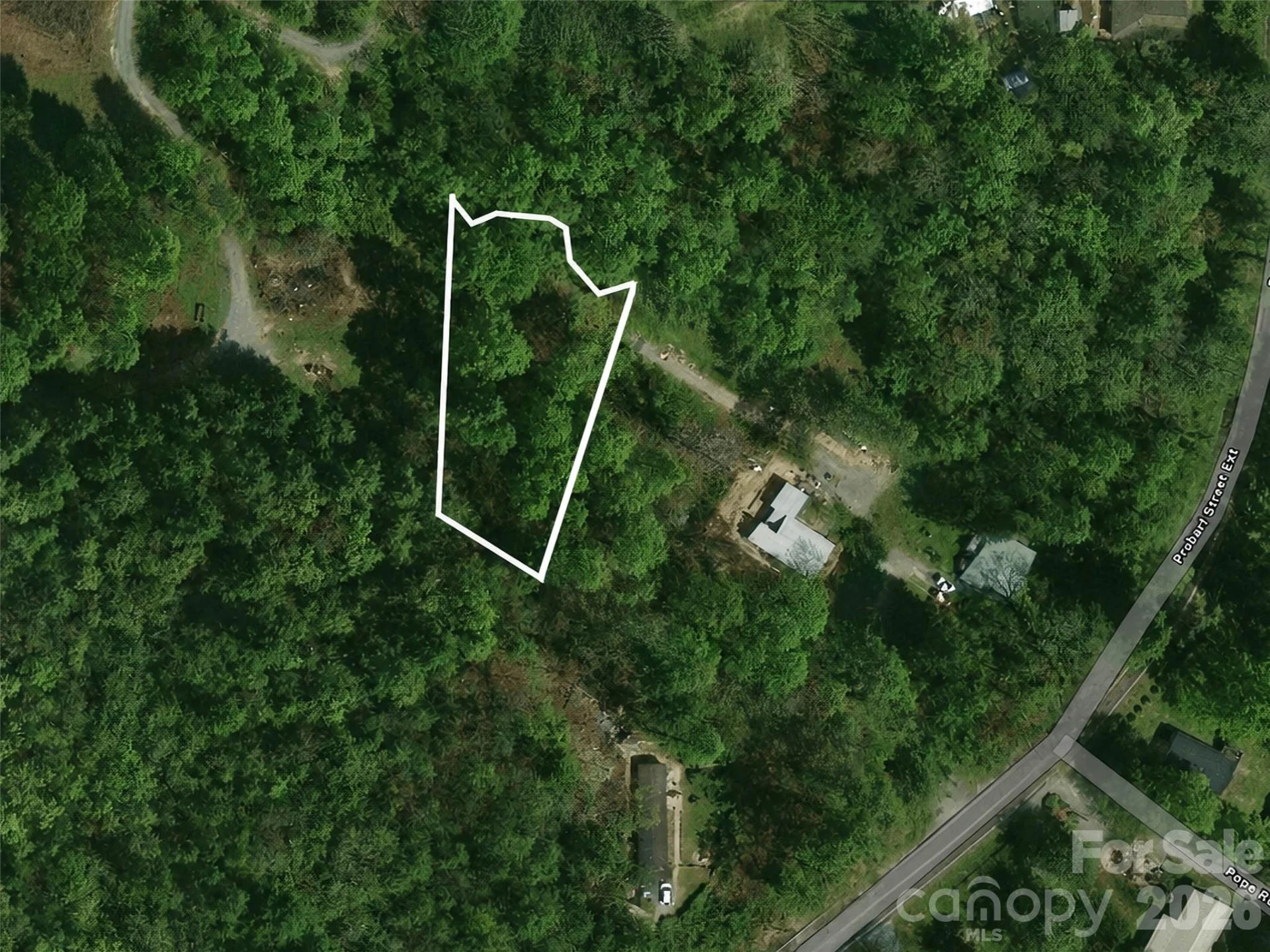 1110 Probart Street #3 - Photo 10