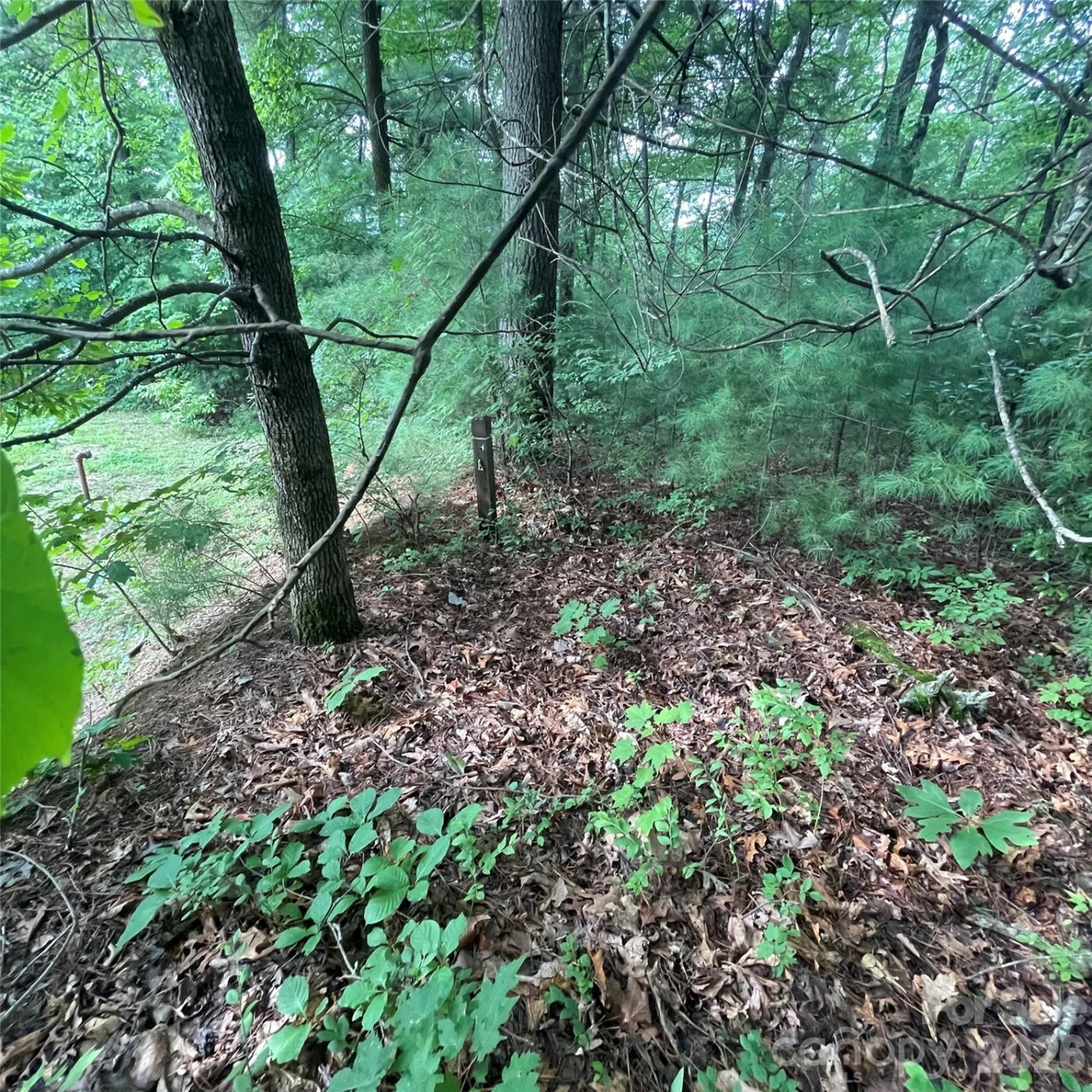 106 Red Mulberry Drive - Photo 3