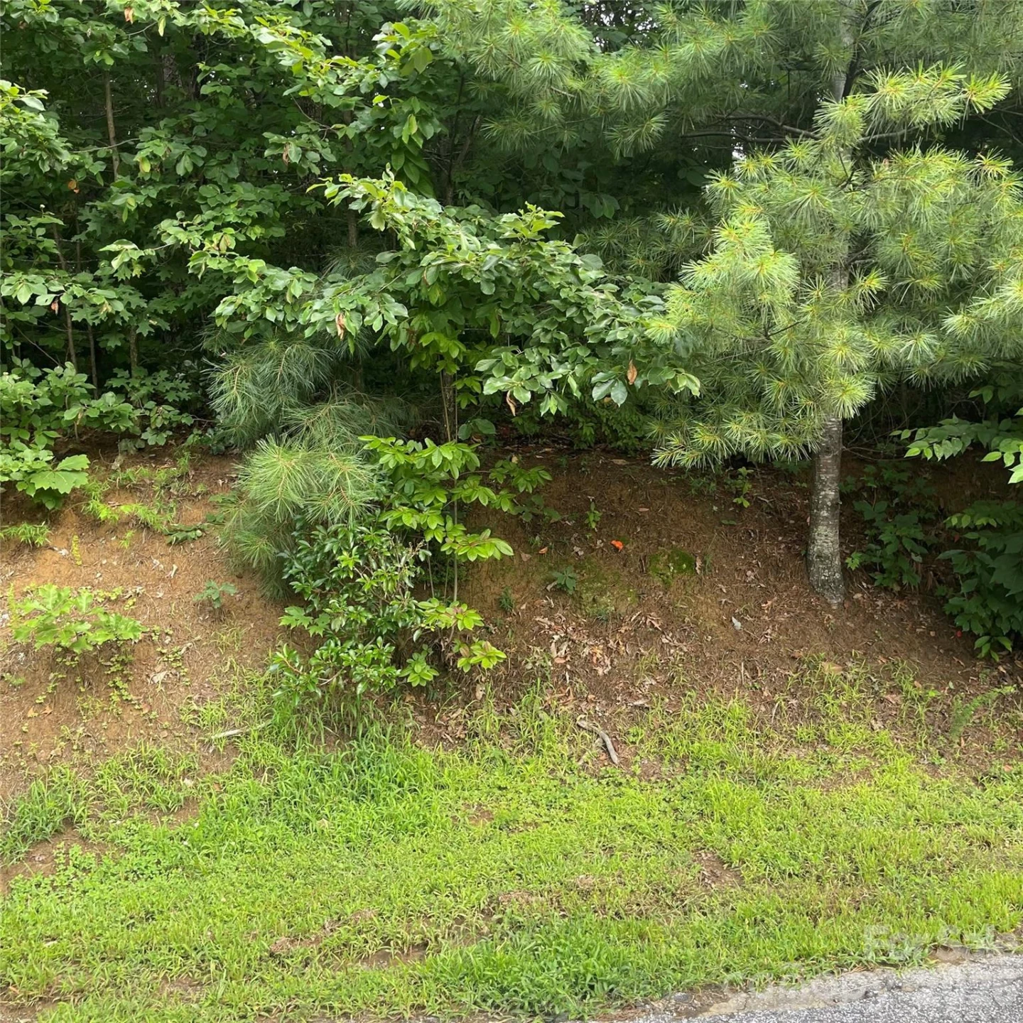 106 Red Mulberry Drive - Photo 8