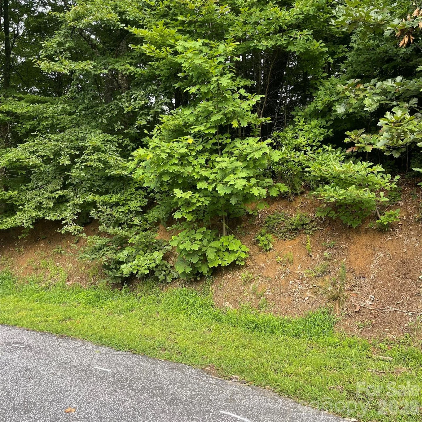 106 Red Mulberry Drive - Photo 9