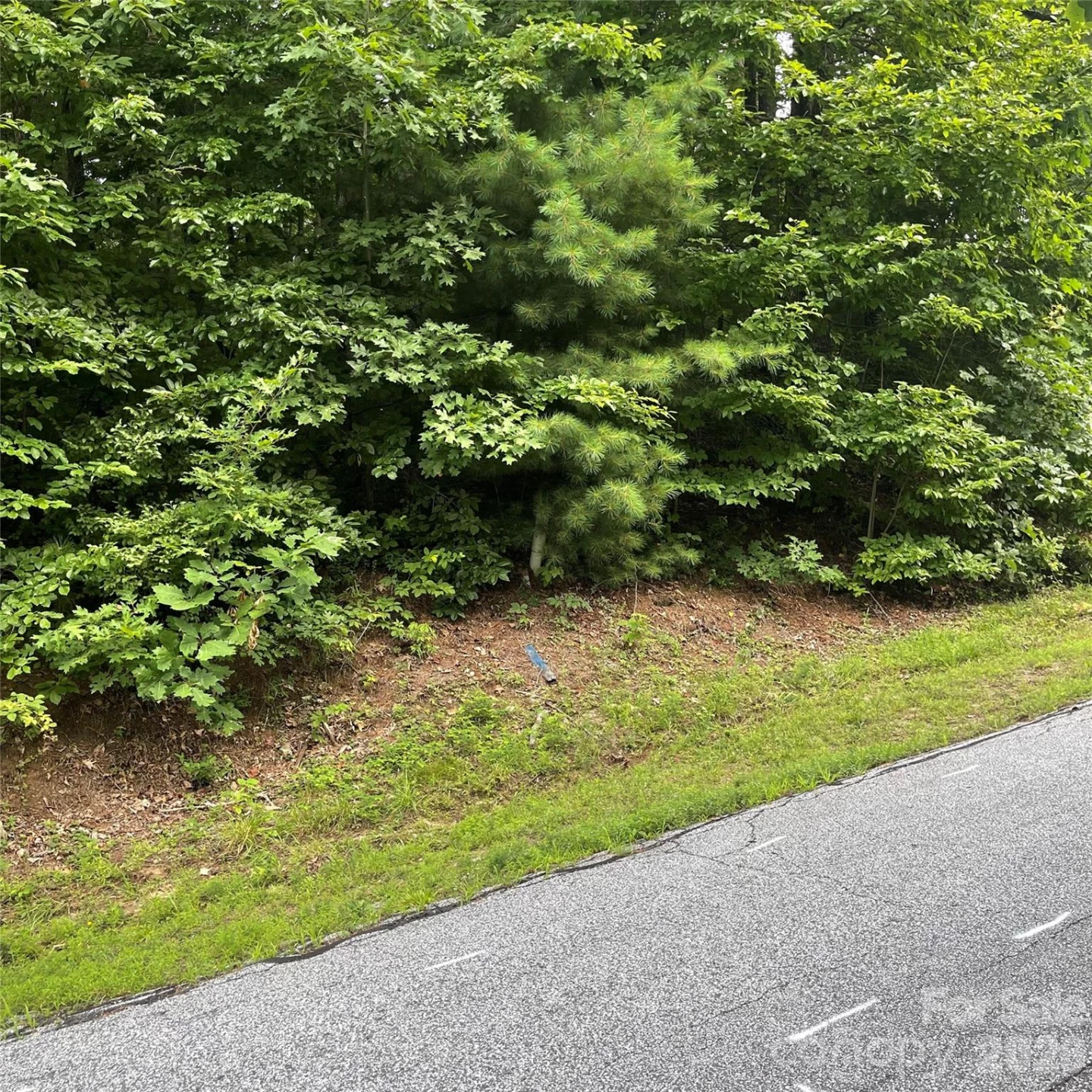 106 Red Mulberry Drive - Photo 10