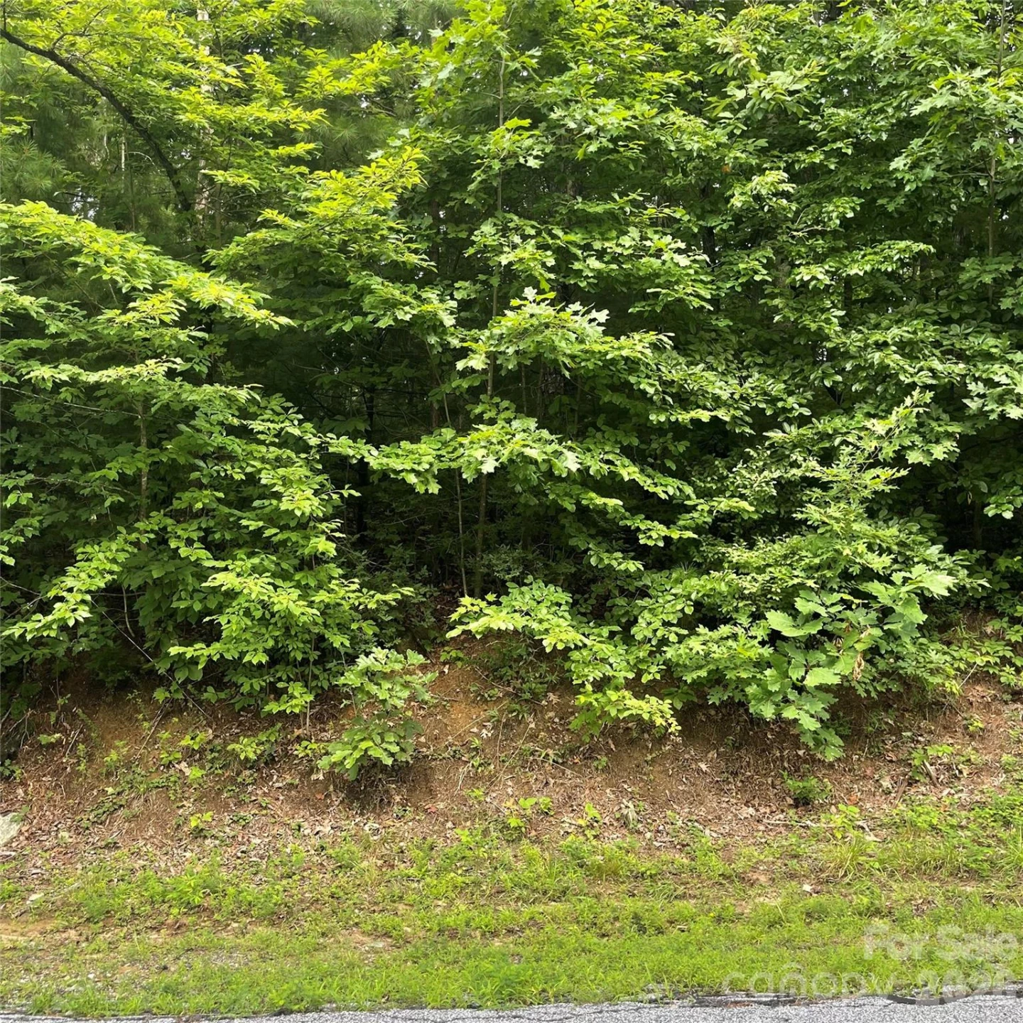 106 Red Mulberry Drive - Photo 11