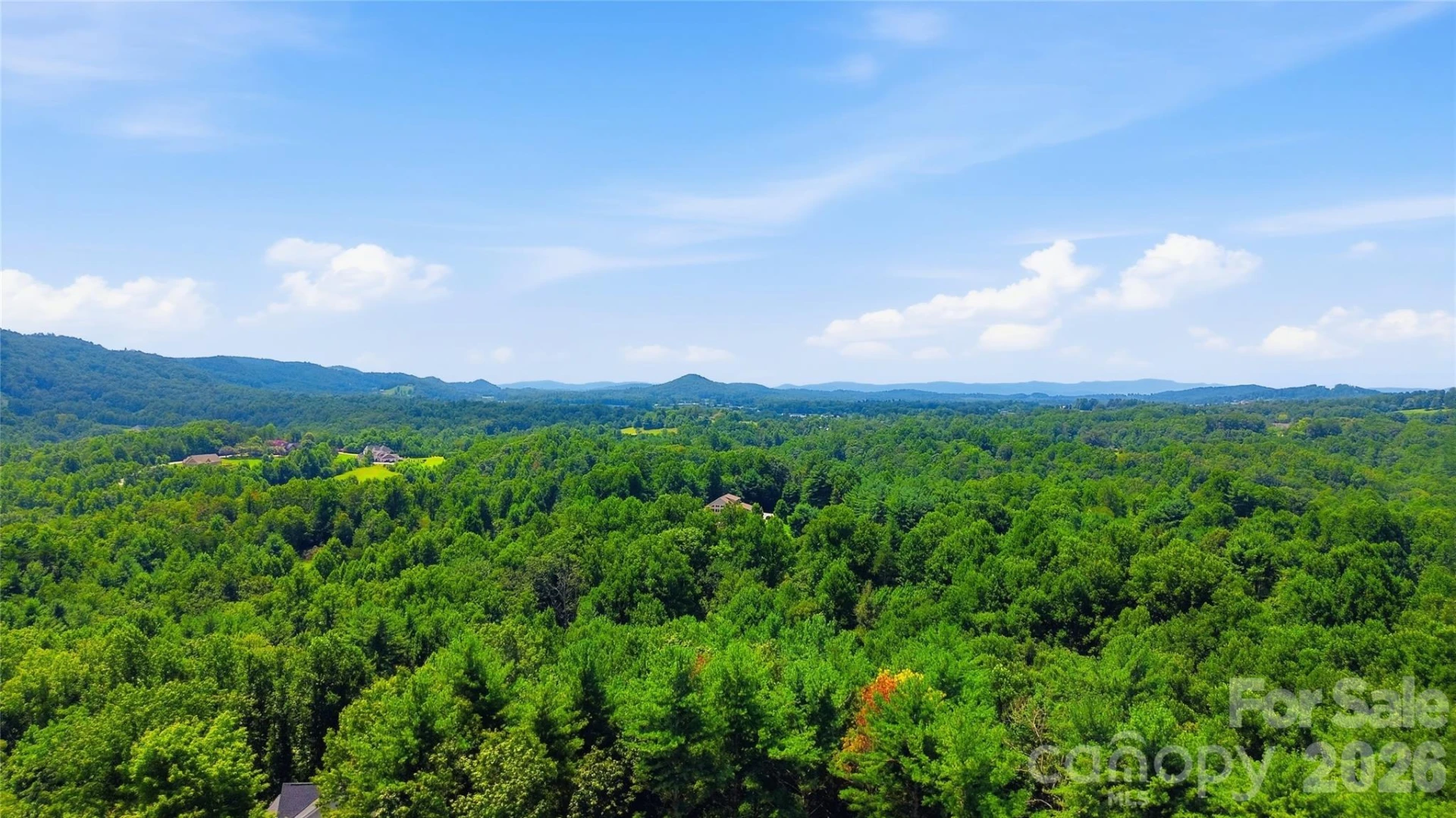 72 Summer Shade Court - Photo 30