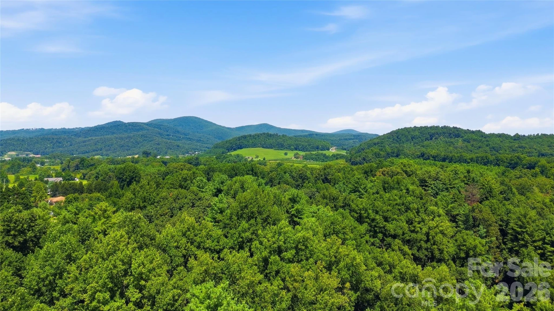 72 Summer Shade Court - Photo 43