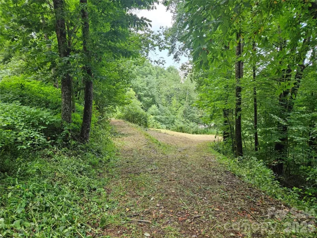 638 Crystal Tree Drive, Waynesville, NC, 28785