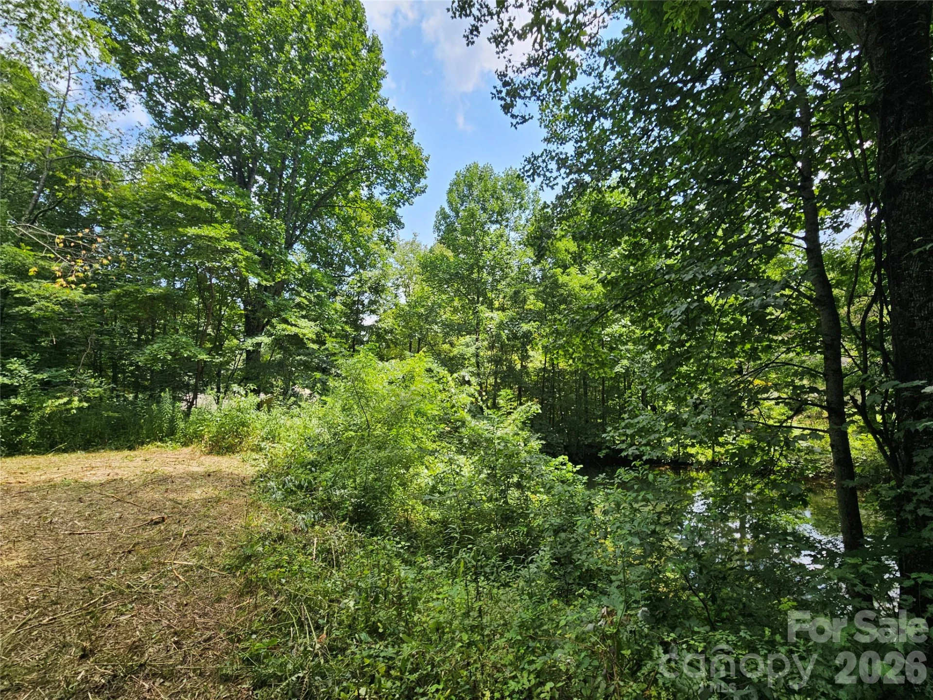 638 Crystal Tree Drive - Photo 2