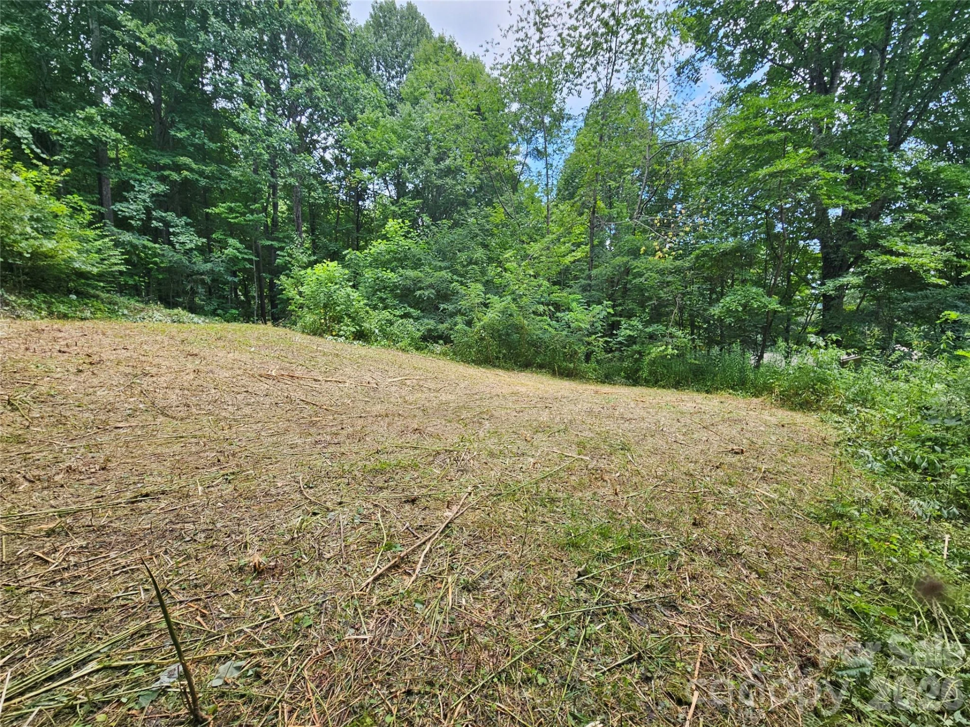 638 Crystal Tree Drive - Photo 3