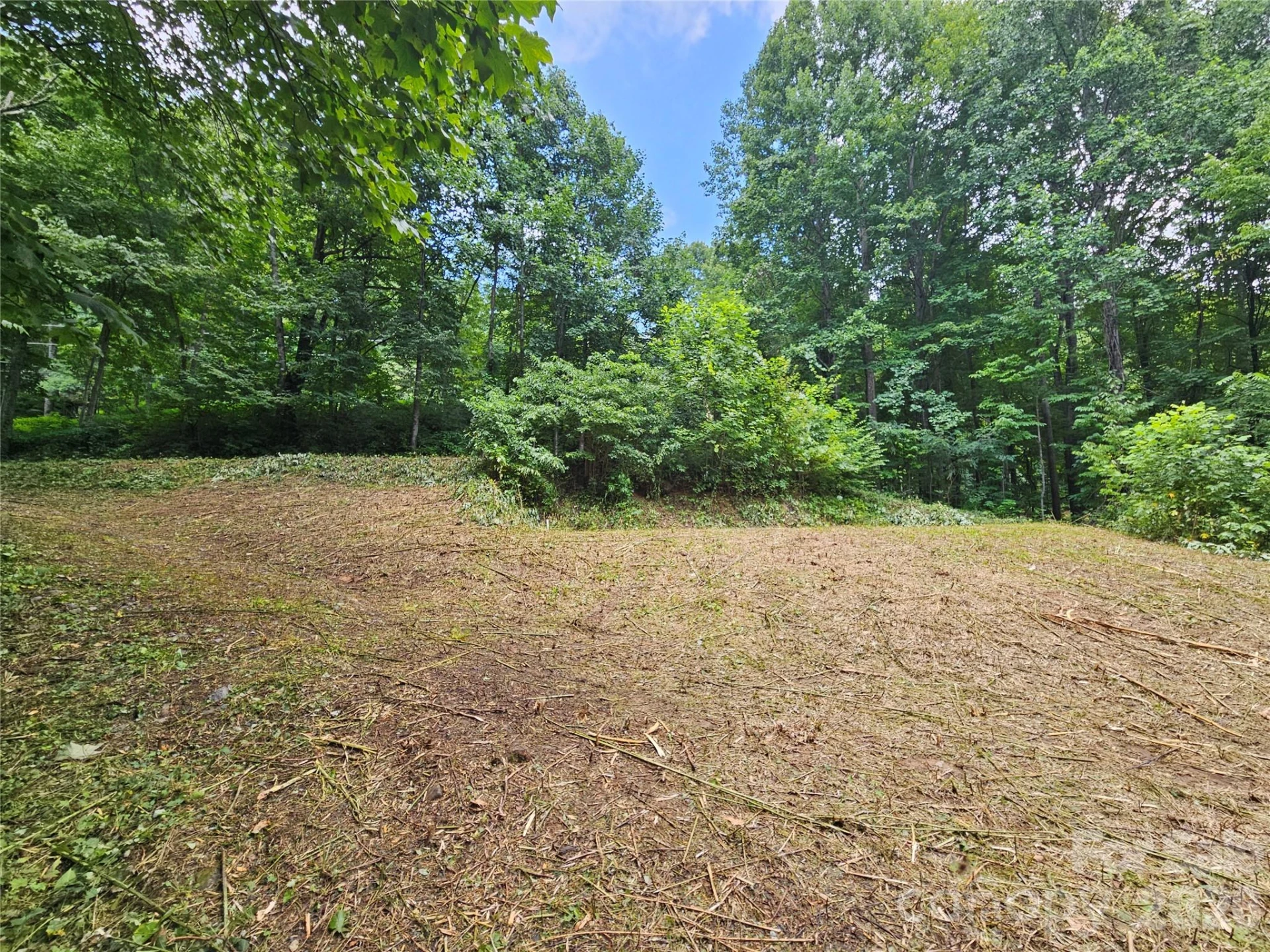 638 Crystal Tree Drive - Photo 4