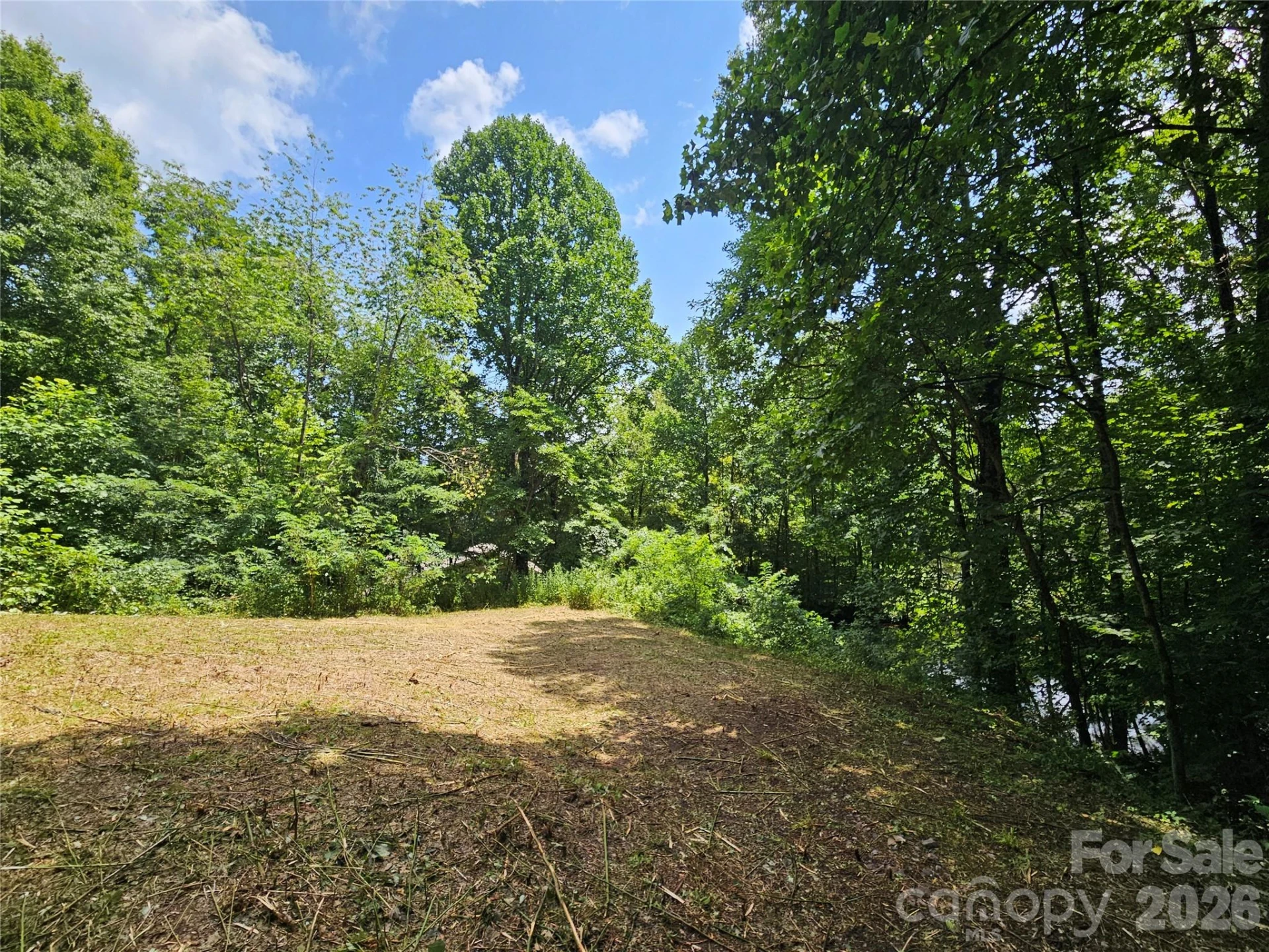 638 Crystal Tree Drive - Photo 5