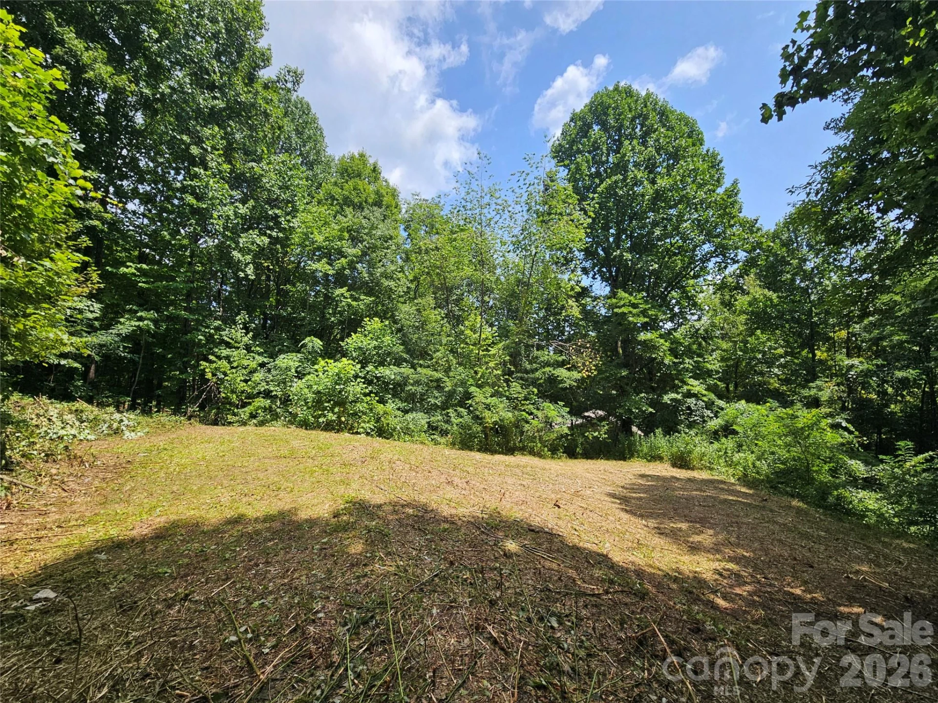 638 Crystal Tree Drive - Photo 6