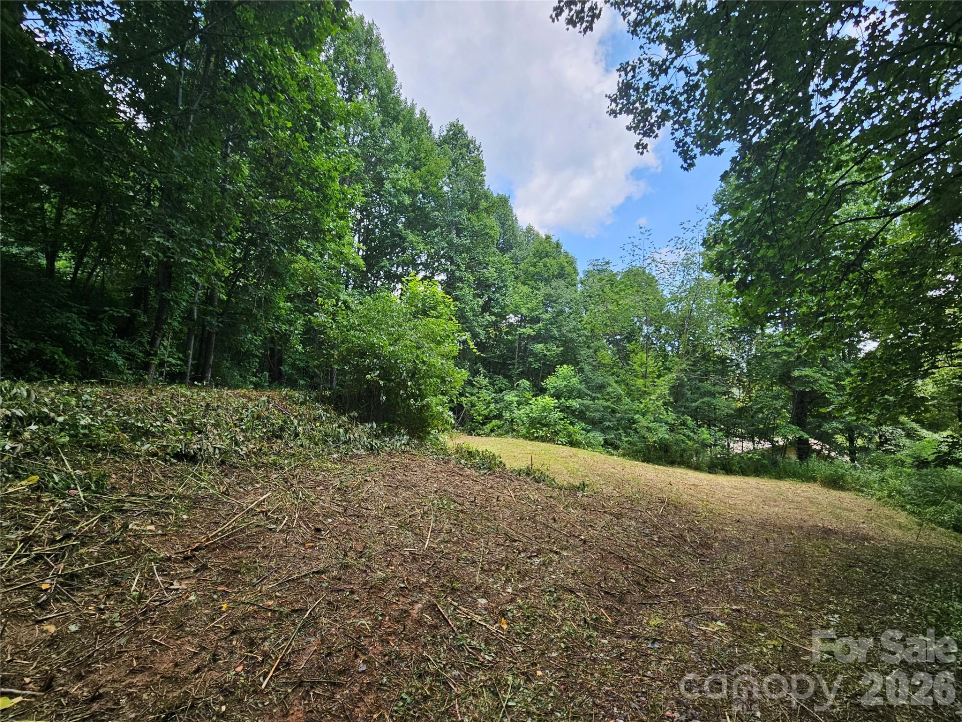 638 Crystal Tree Drive - Photo 7