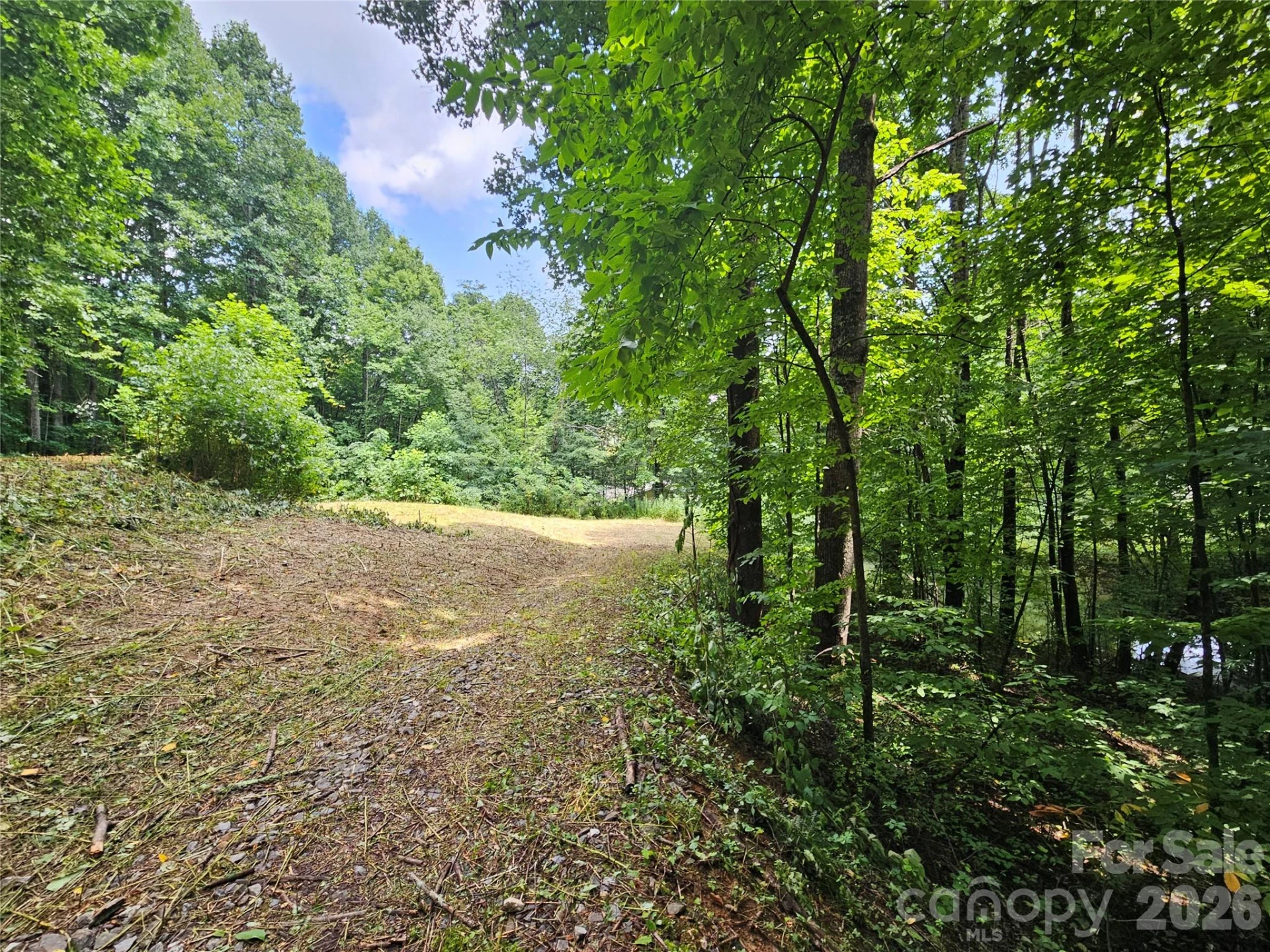 638 Crystal Tree Drive - Photo 8