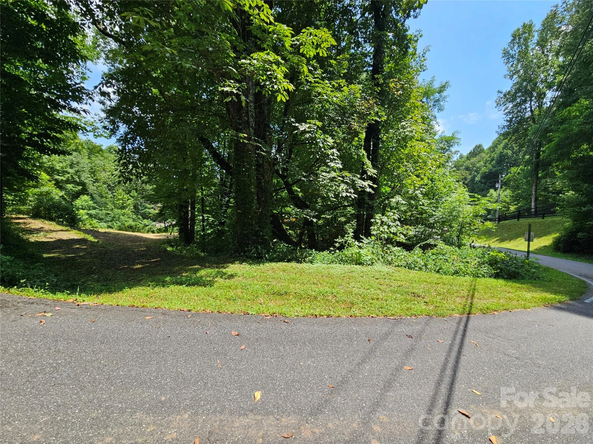 638 Crystal Tree Drive - Photo 10