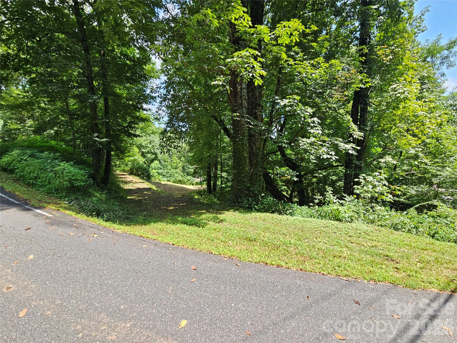 638 Crystal Tree Drive - Photo 11