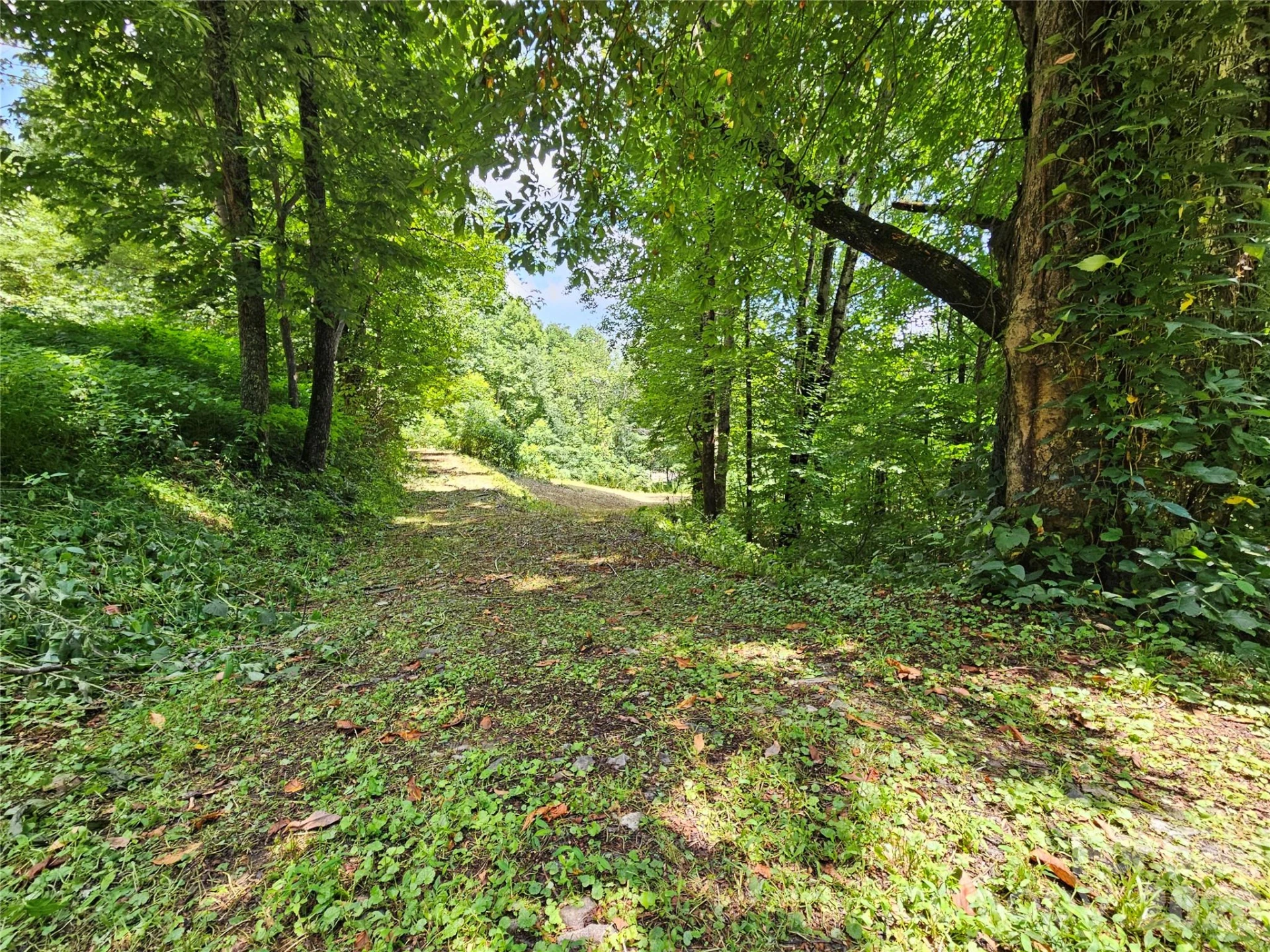 638 Crystal Tree Drive - Photo 12