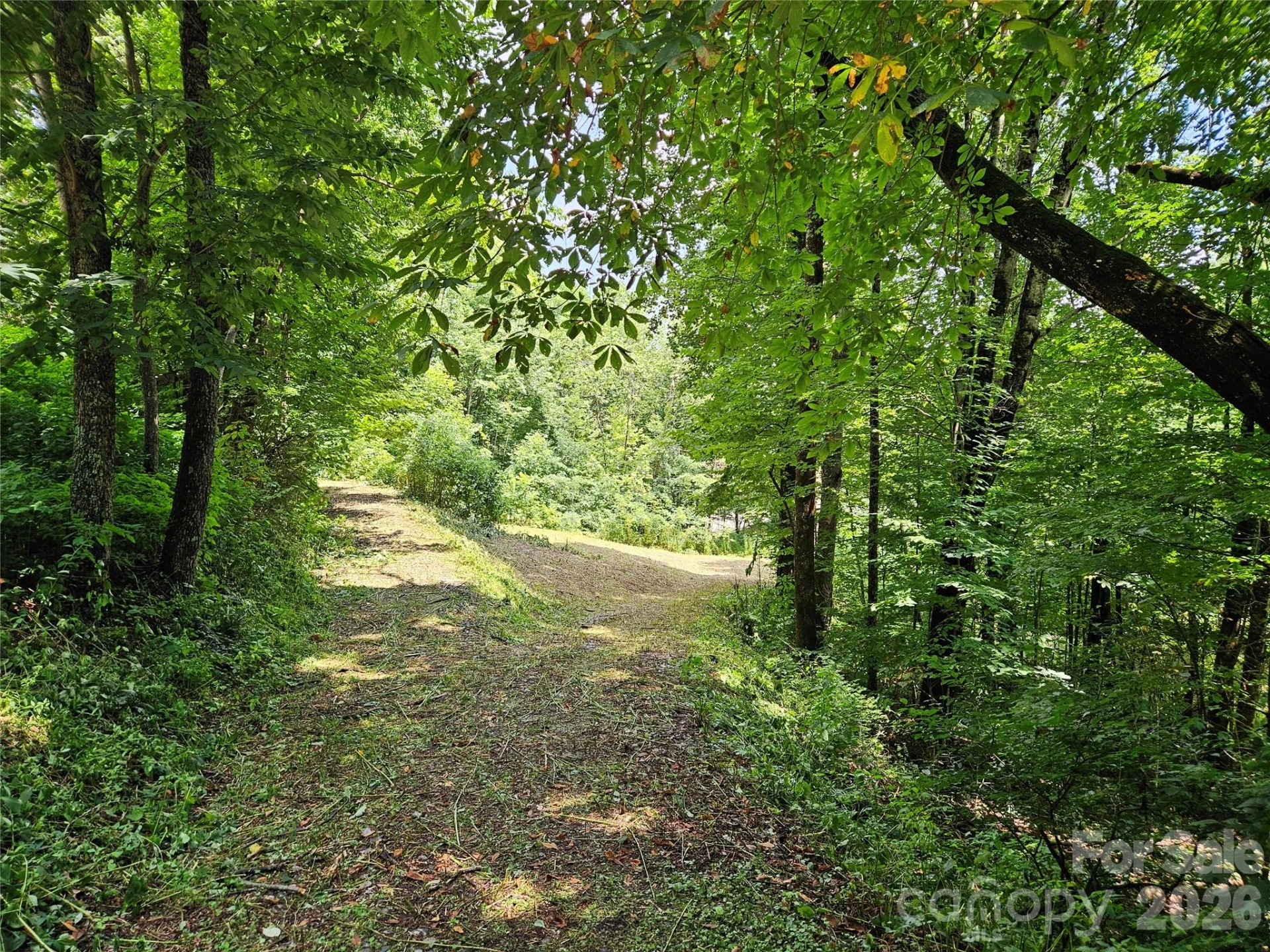 638 Crystal Tree Drive - Photo 13
