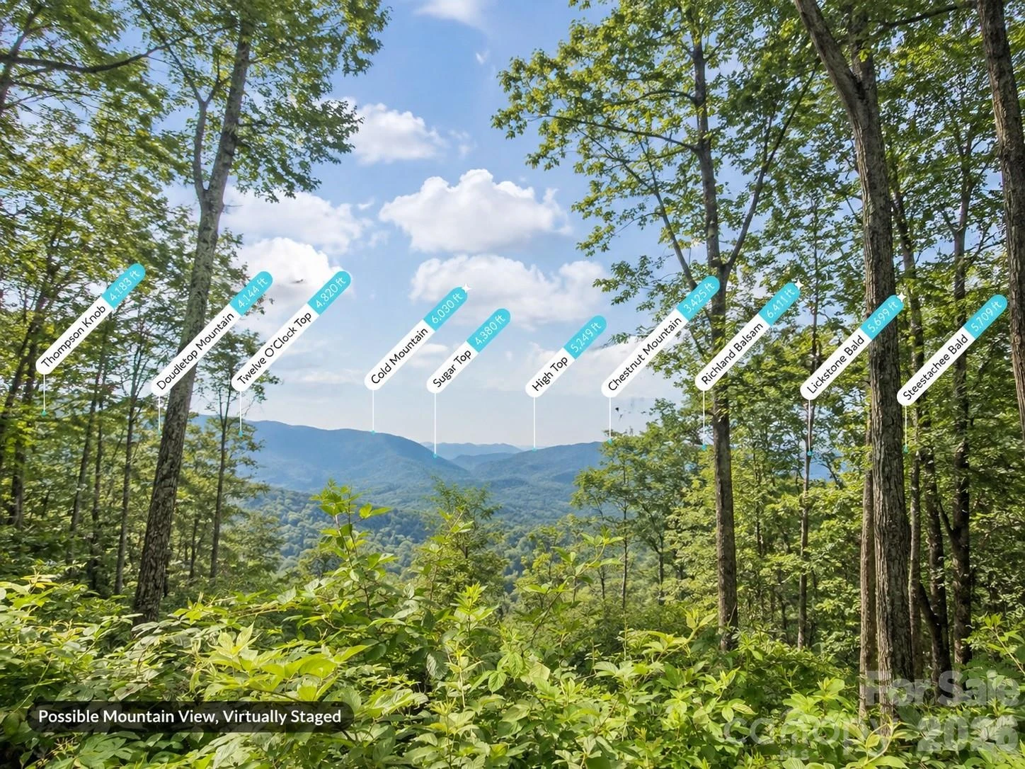 Lot 21 Summit Drive - Photo 4