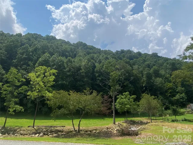 00 Foster Creek Road, Marshall, NC, 28753