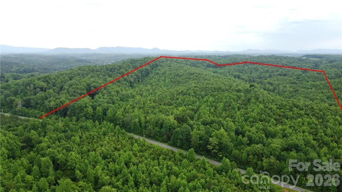 0 Maple Creek Road #1 - Photo 3