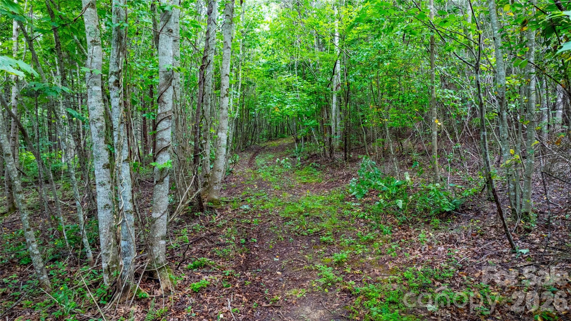 99999 Bob Barnwell Road - Photo 3