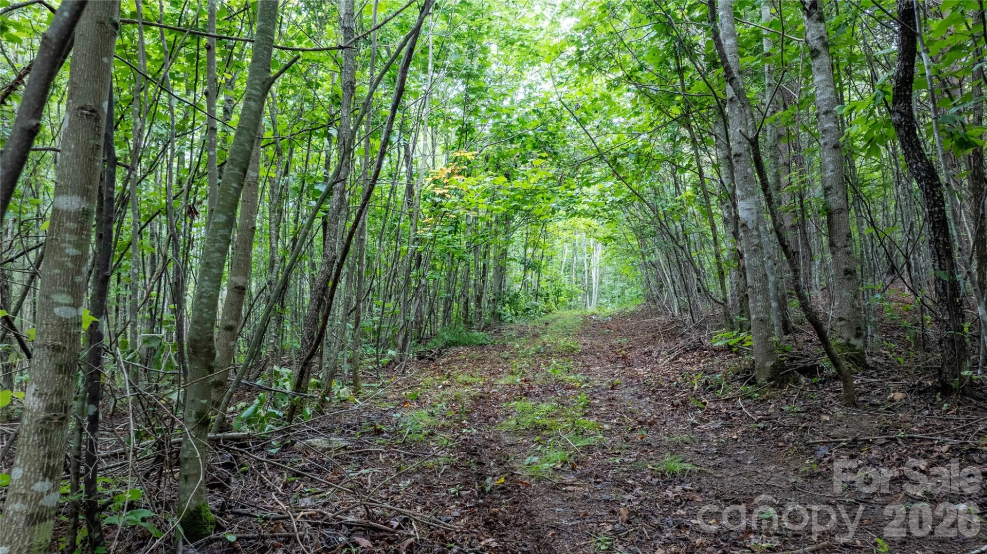 99999 Bob Barnwell Road - Photo 4