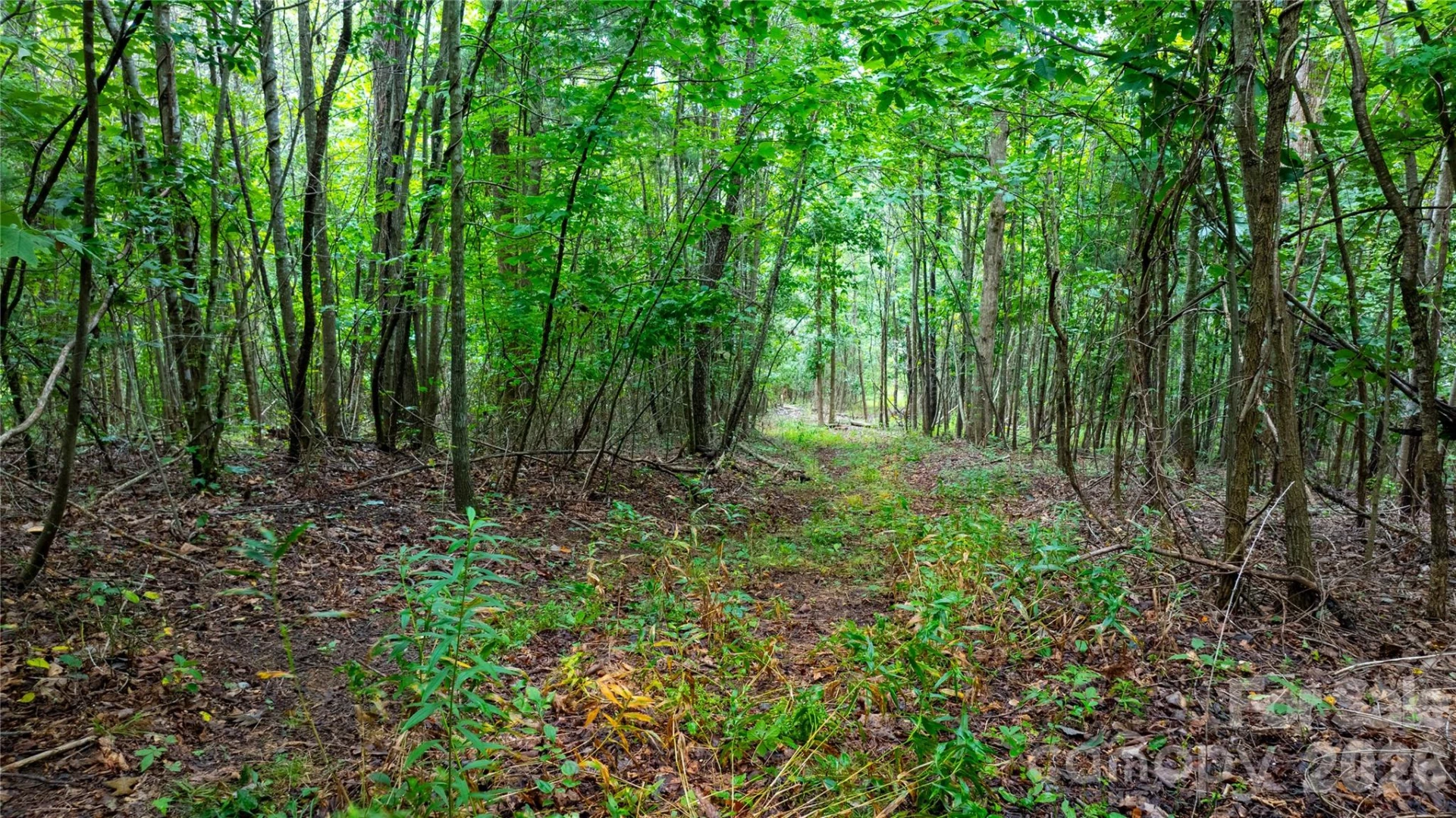 99999 Bob Barnwell Road - Photo 5