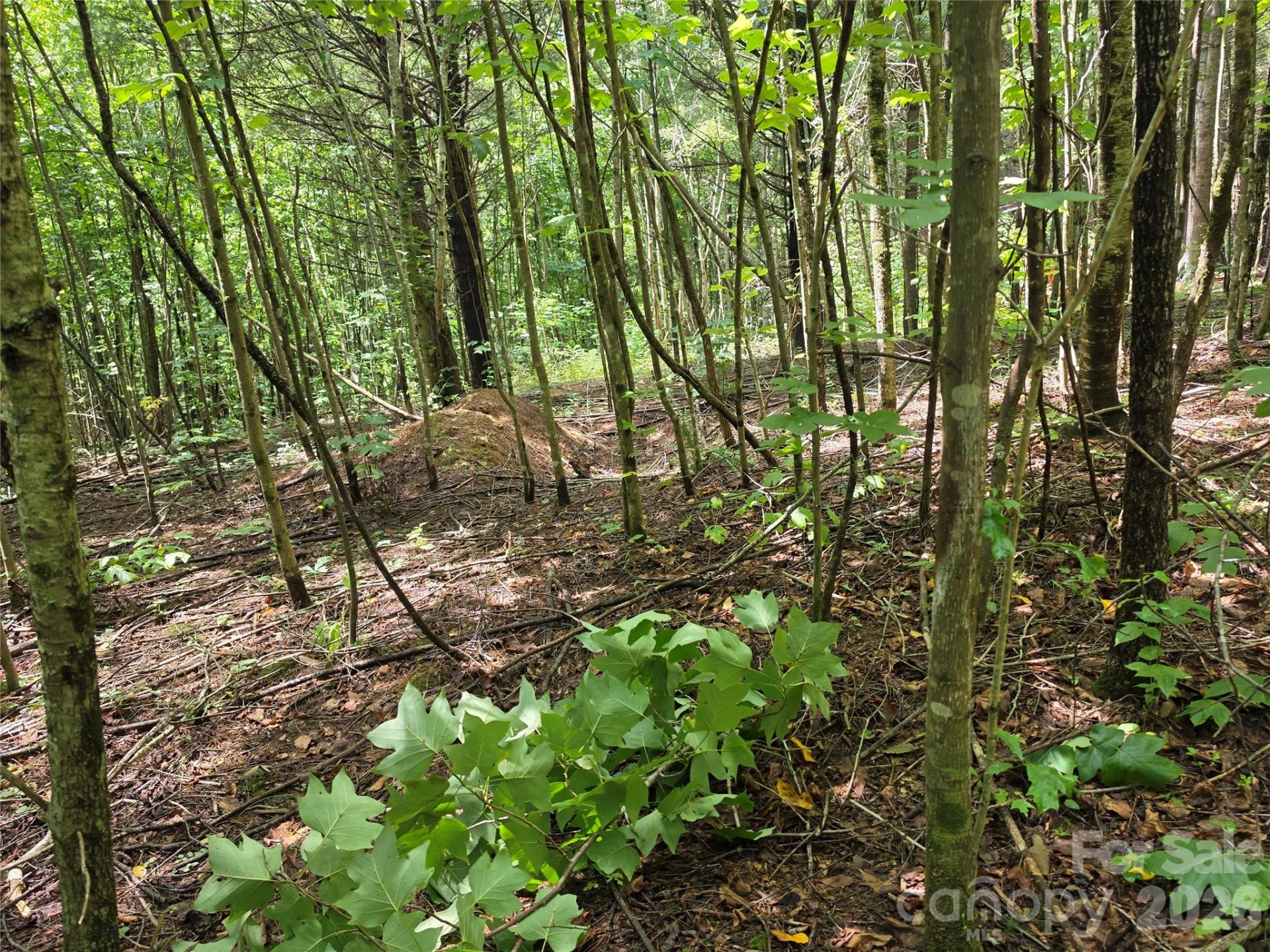 99999 Bob Barnwell Road - Photo 29