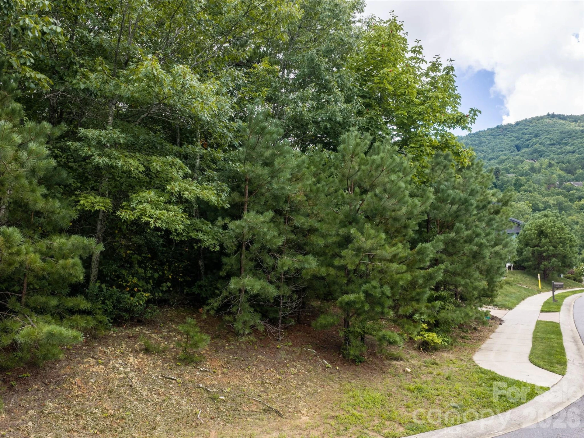 15 Panther Gap Road #116 - Photo 7