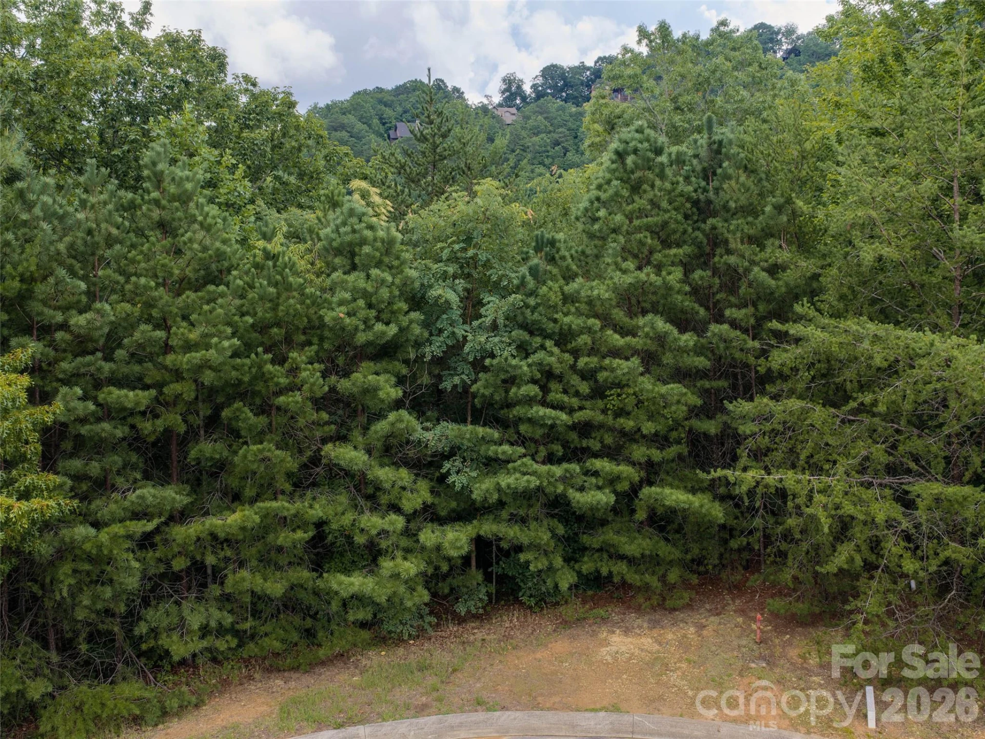 15 Panther Gap Road #116 - Photo 8