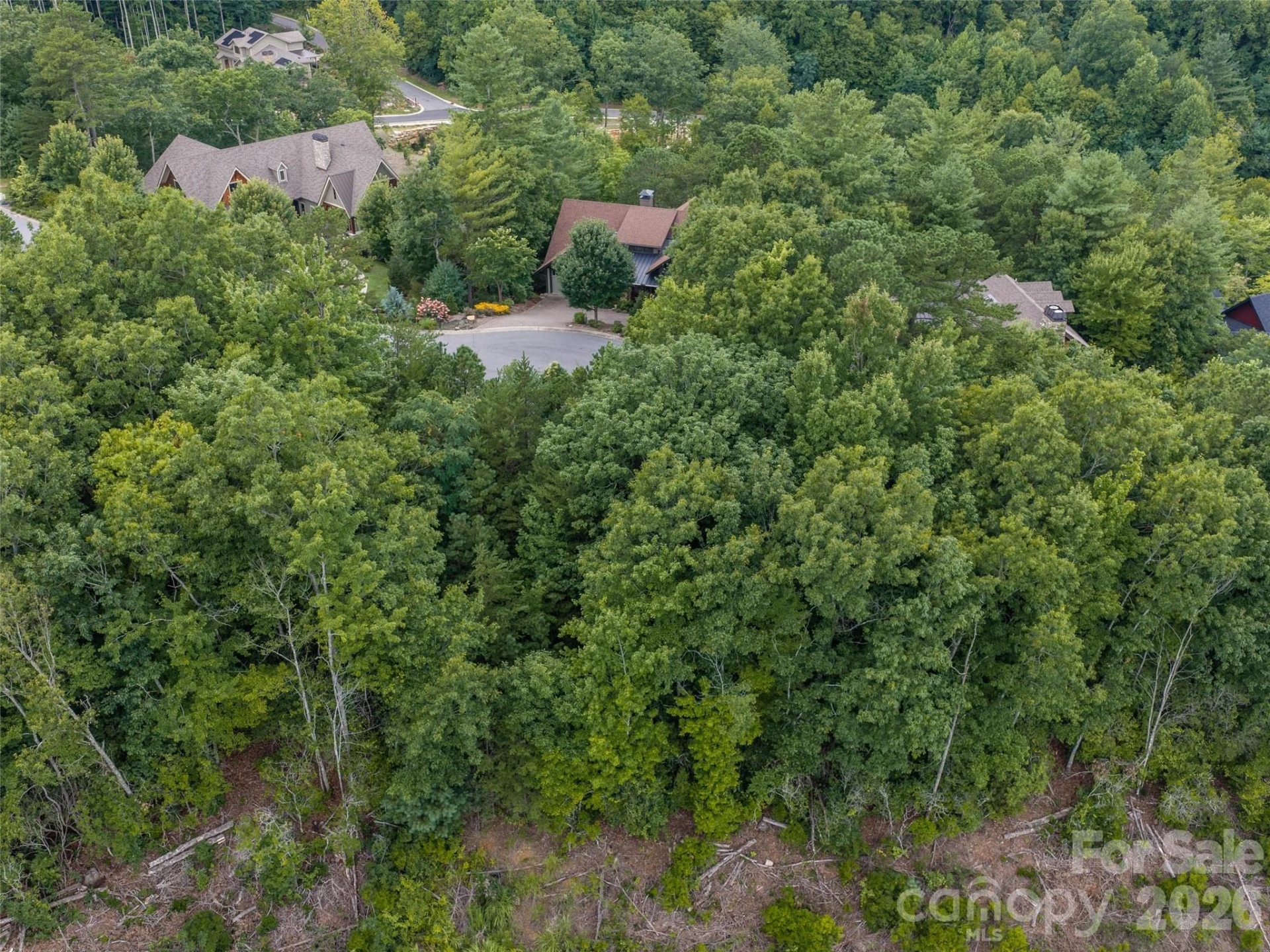 15 Panther Gap Road #116 - Photo 11