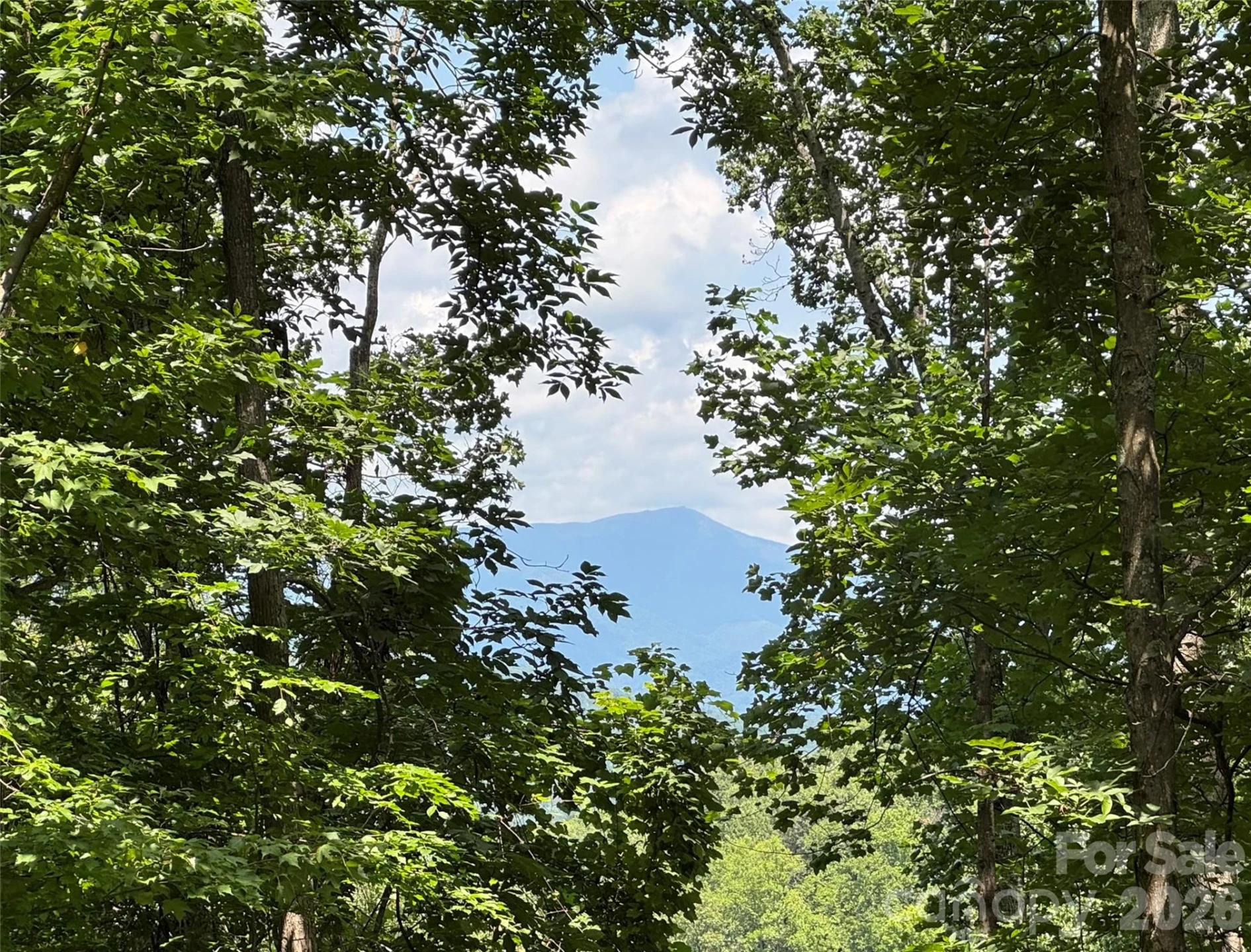 97 High Hickory Trail #2 - Photo 2