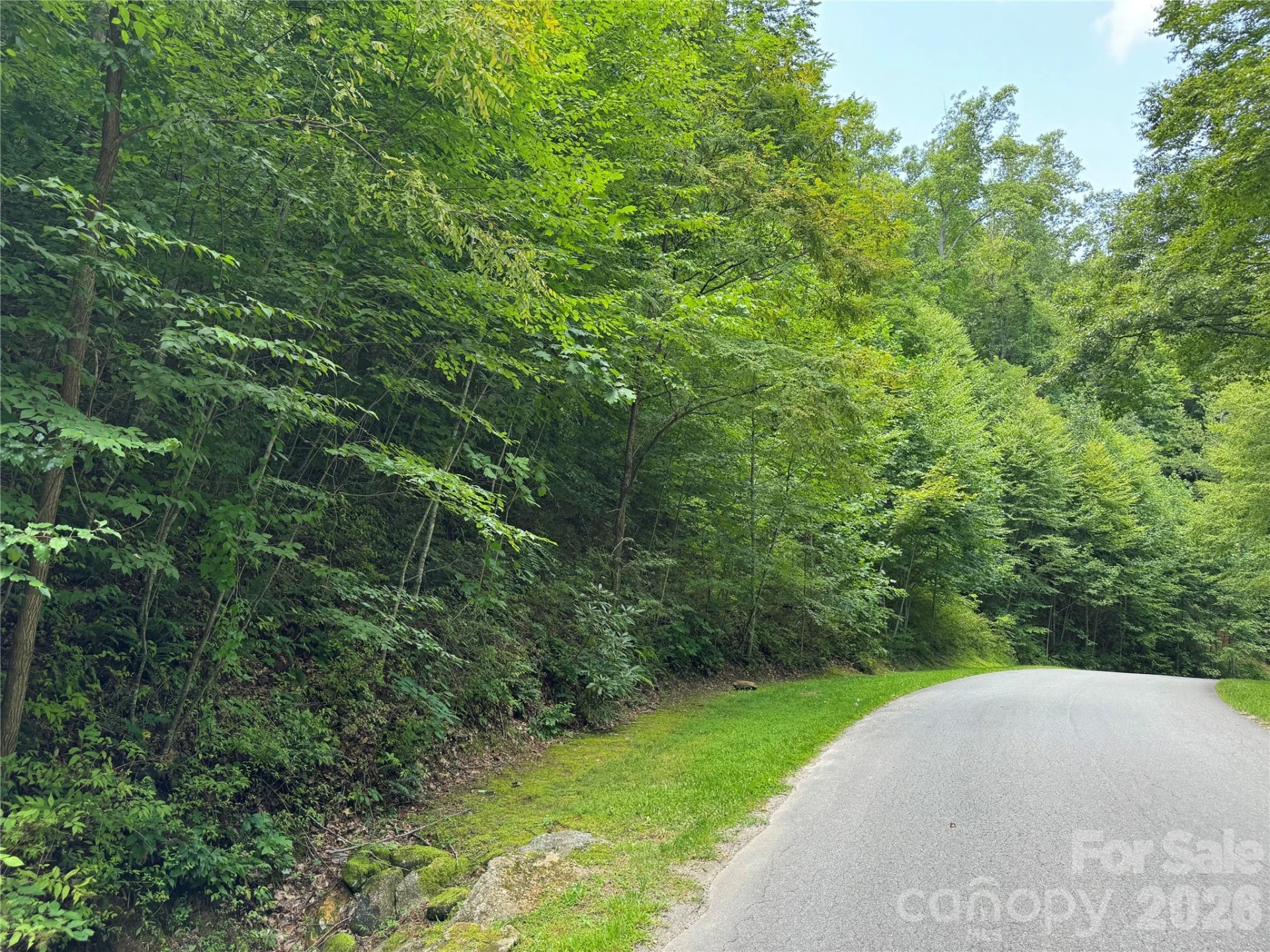 97 High Hickory Trail #2 - Photo 3