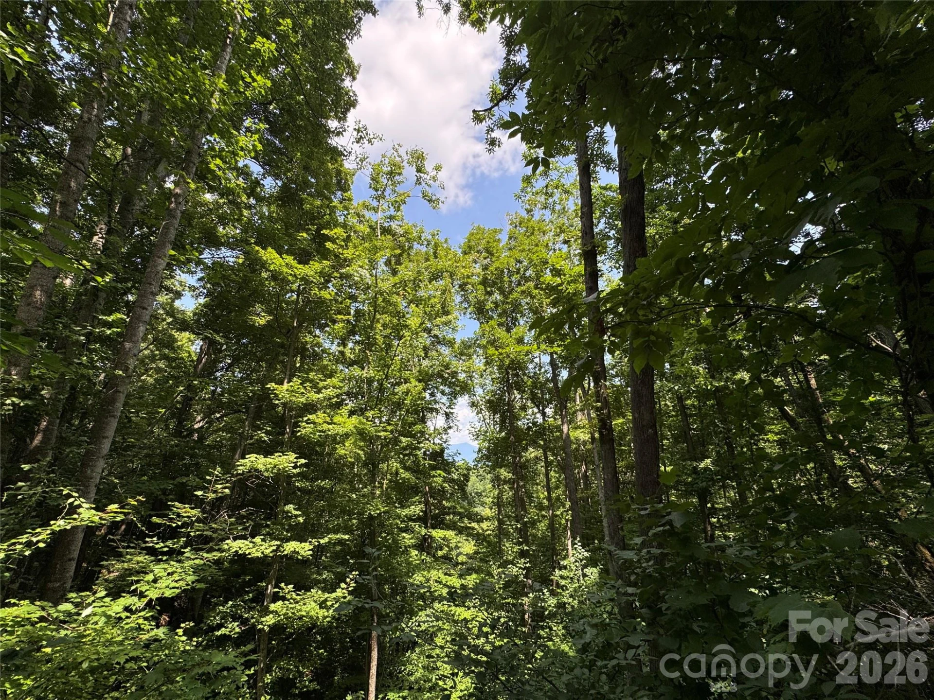 97 High Hickory Trail #2 - Photo 8