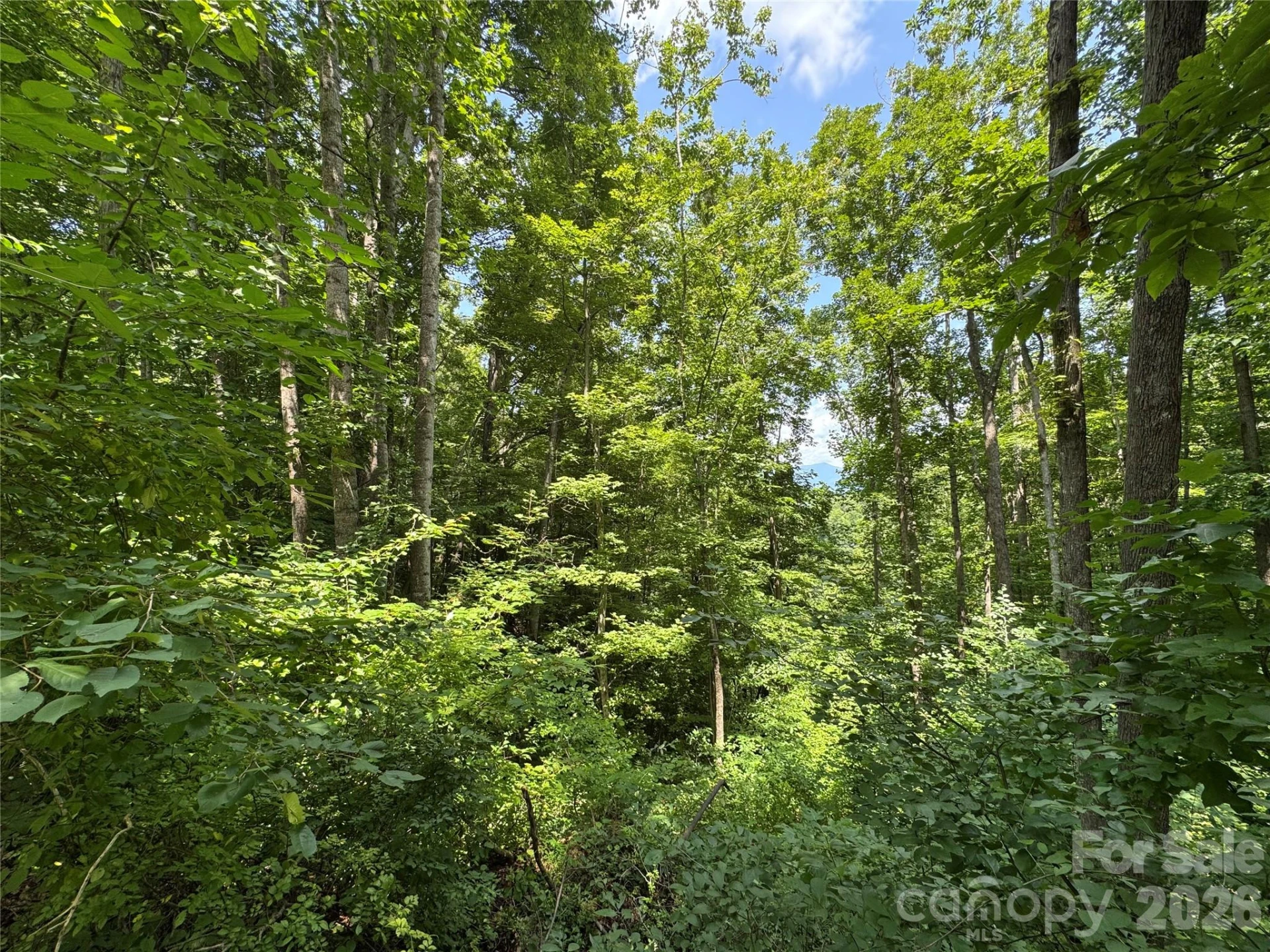97 High Hickory Trail #2 - Photo 9
