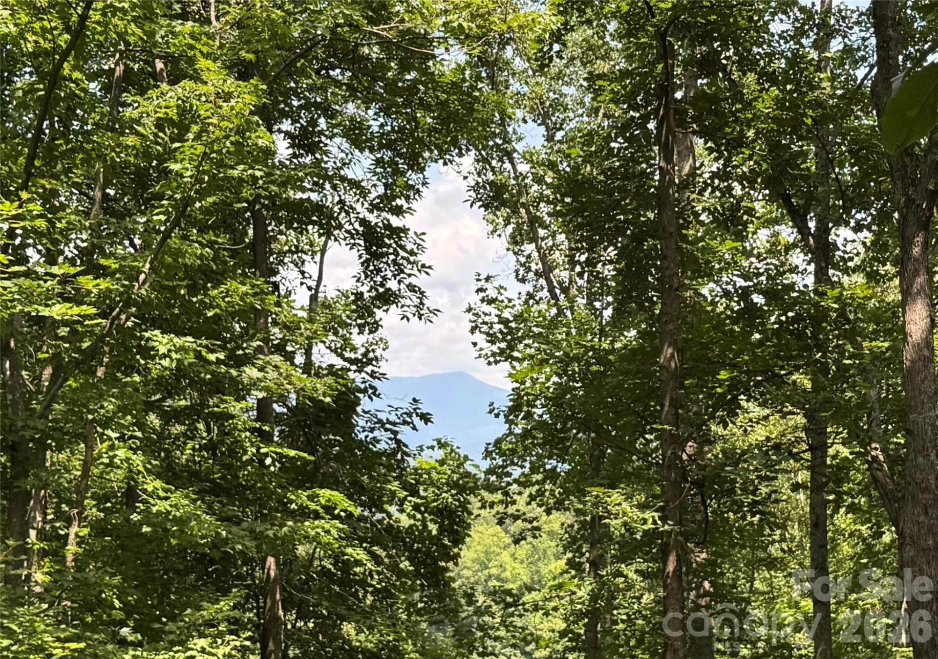 97 High Hickory Trail #2 - Photo 10