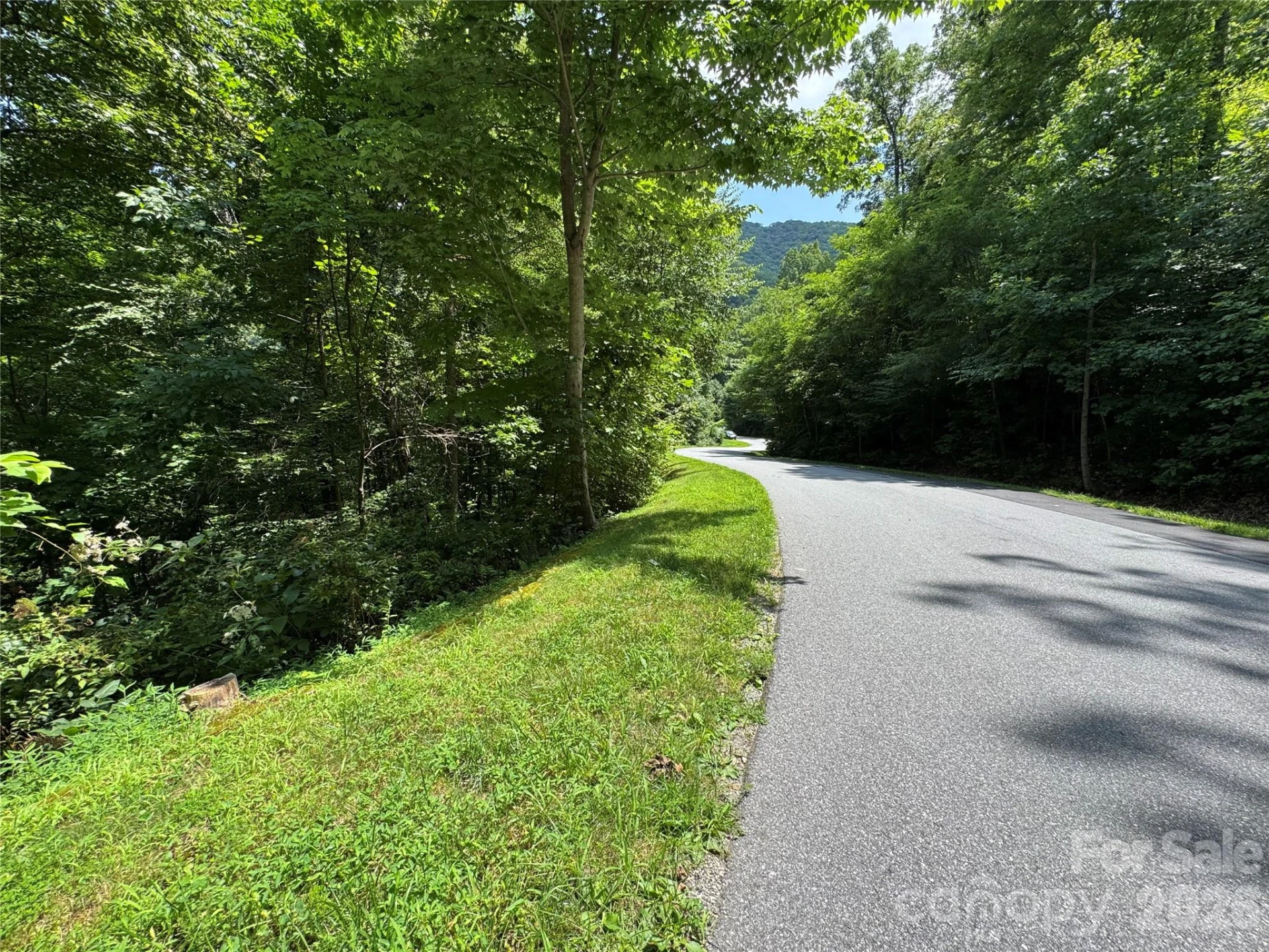 97 High Hickory Trail #2 - Photo 11