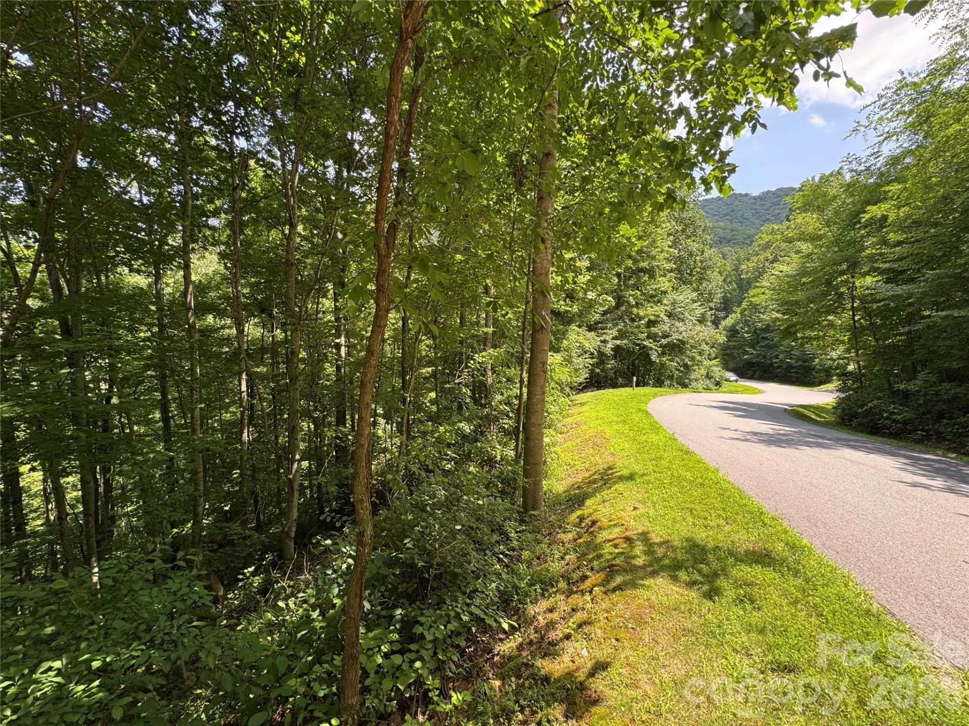 97 High Hickory Trail #2 - Photo 12