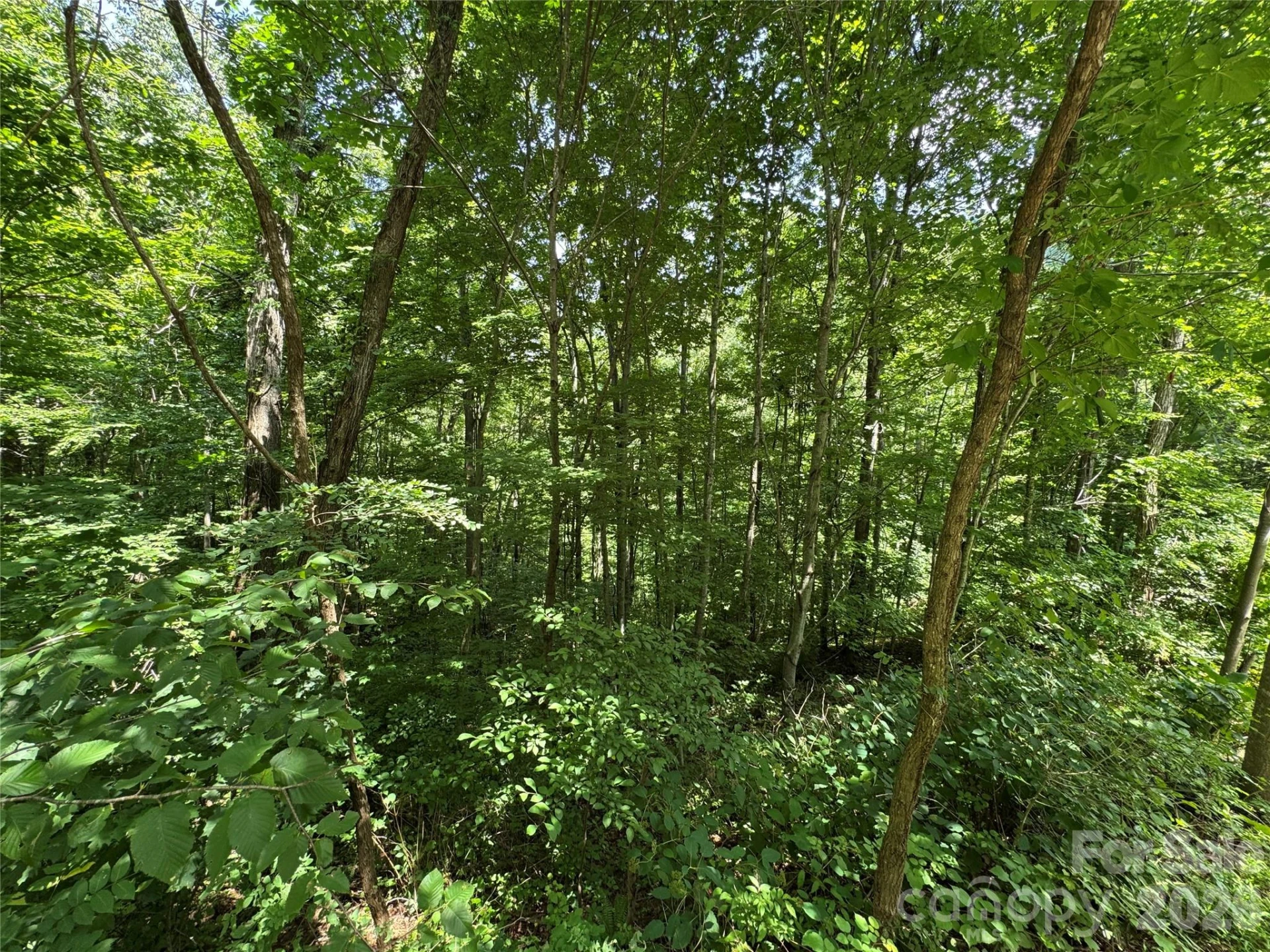 97 High Hickory Trail #2 - Photo 13