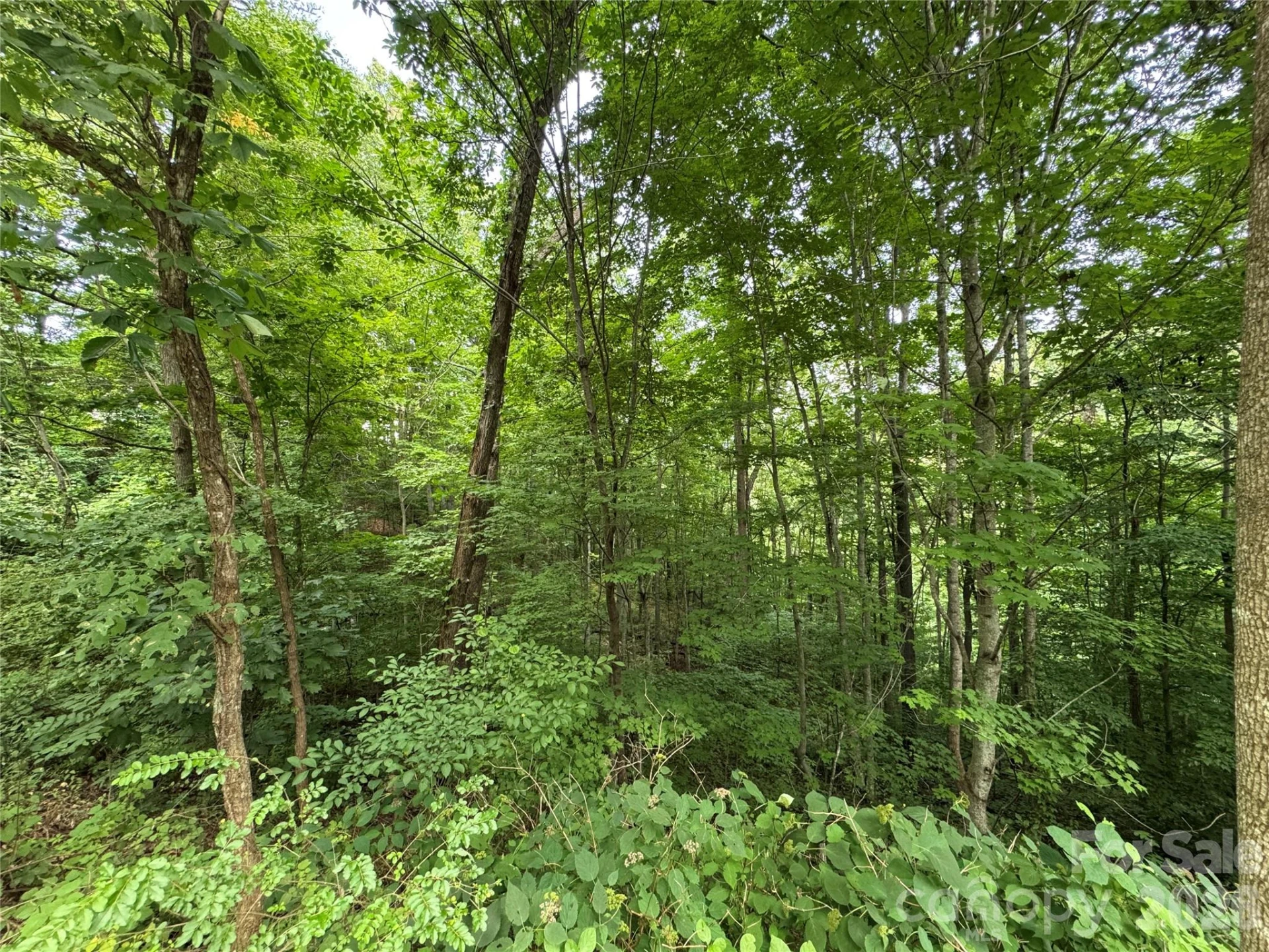 97 High Hickory Trail #2 - Photo 14