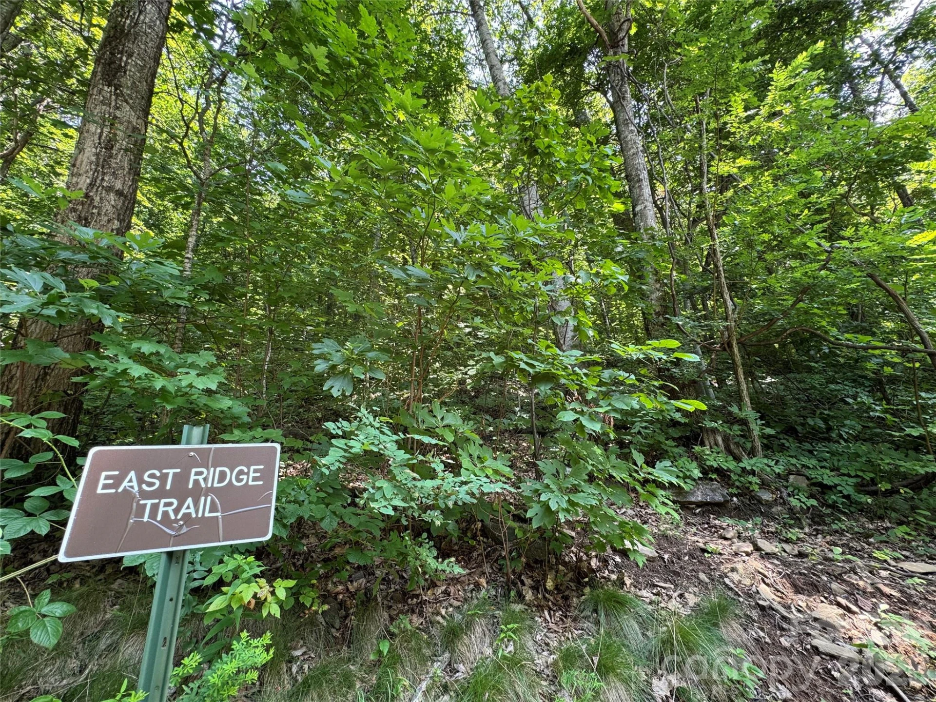 97 High Hickory Trail #2 - Photo 22