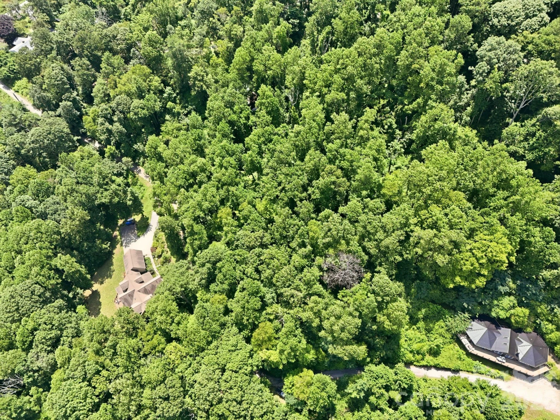 28 Mountain Breeze Trail - Photo 2