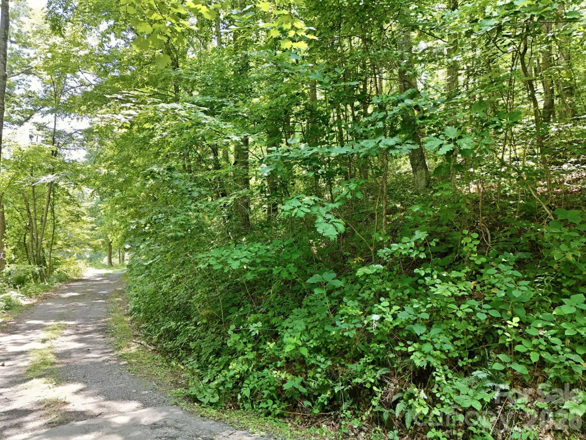 28 Mountain Breeze Trail - Photo 4