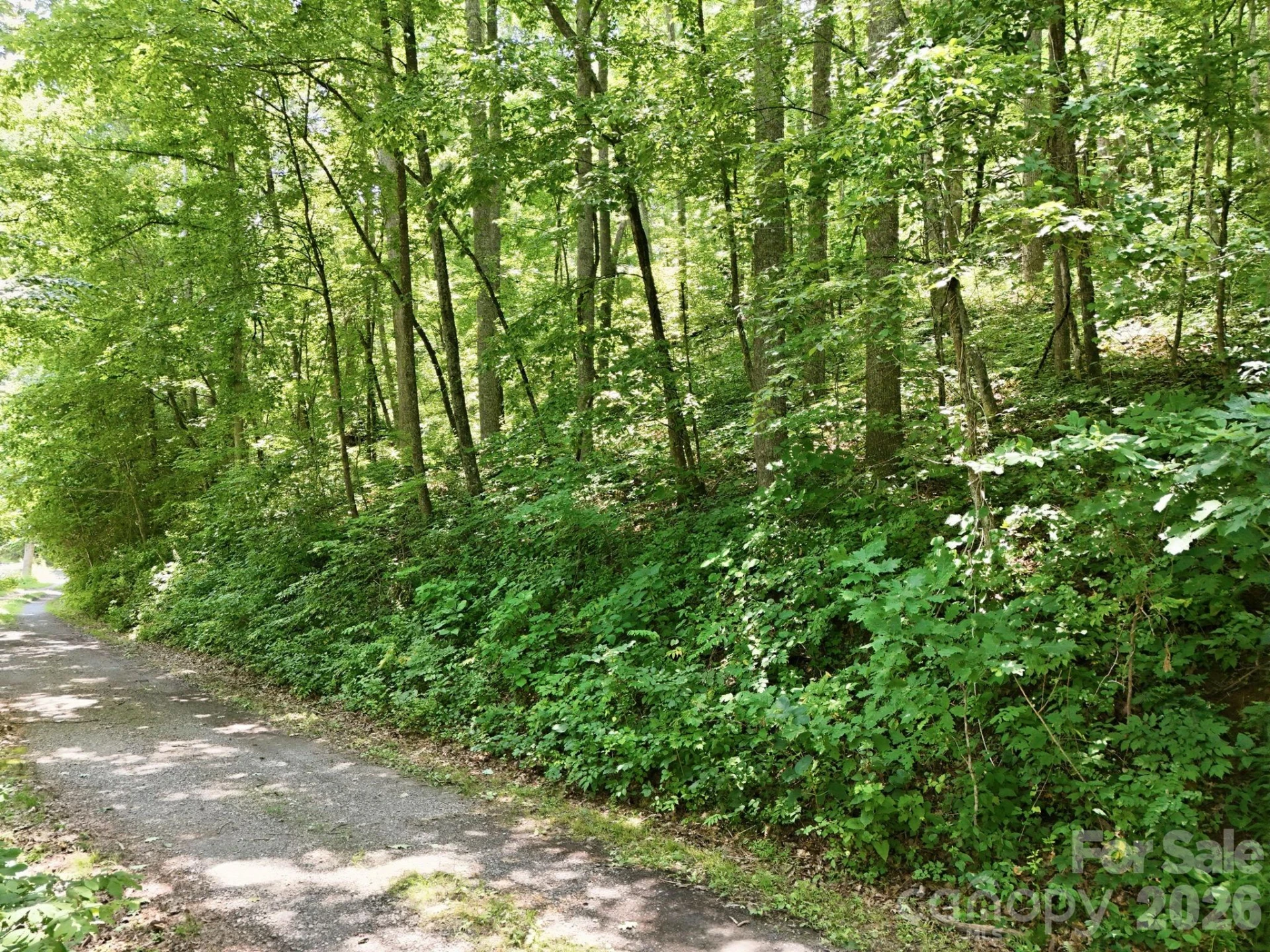 28 Mountain Breeze Trail - Photo 5