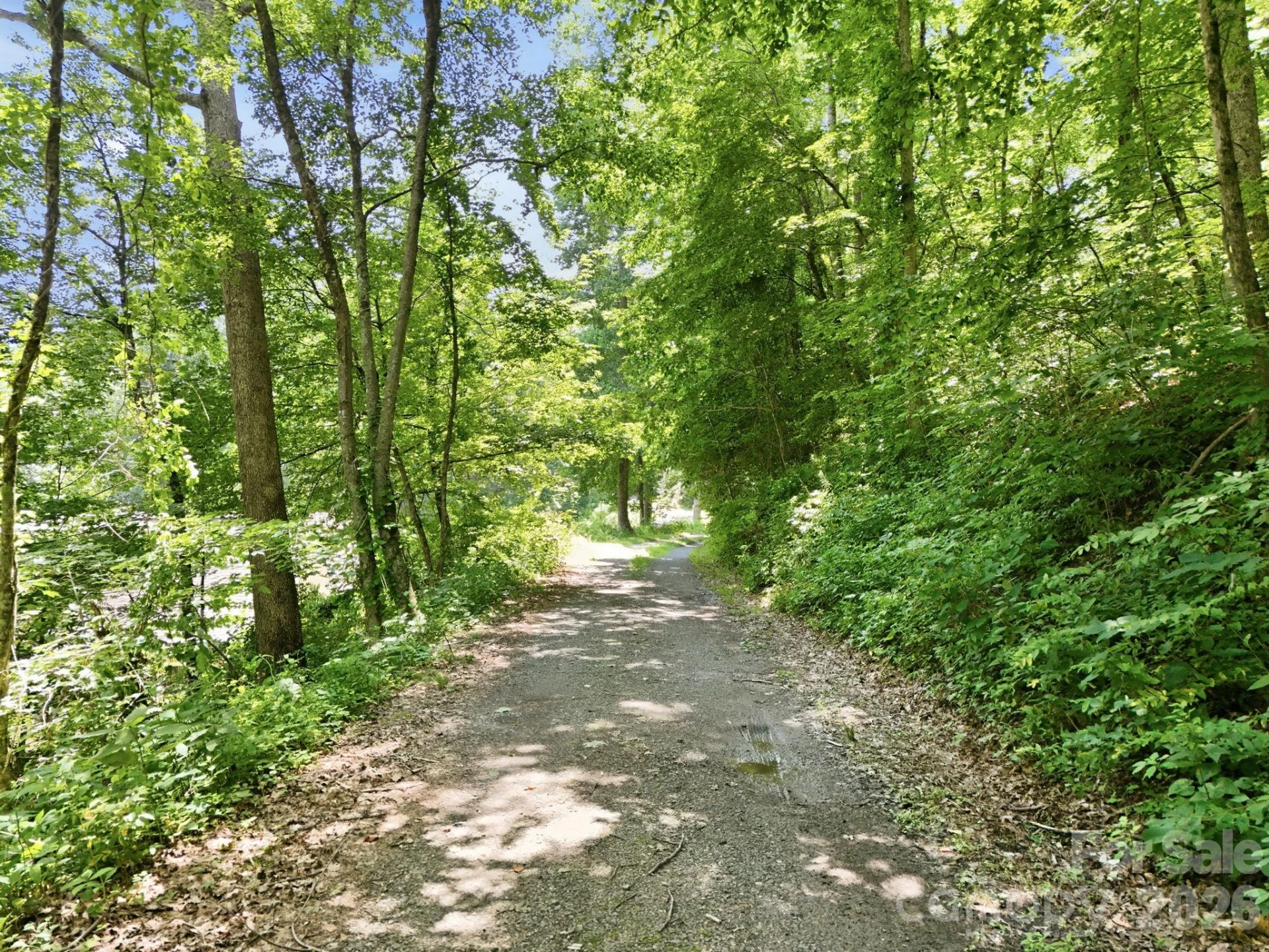 28 Mountain Breeze Trail - Photo 6