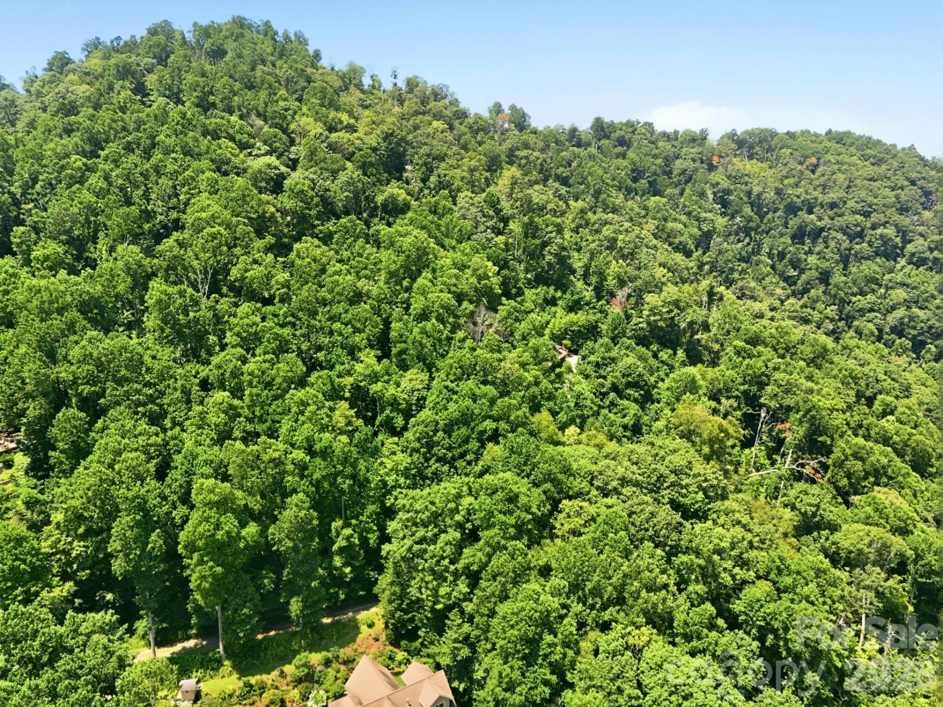 28 Mountain Breeze Trail - Photo 7