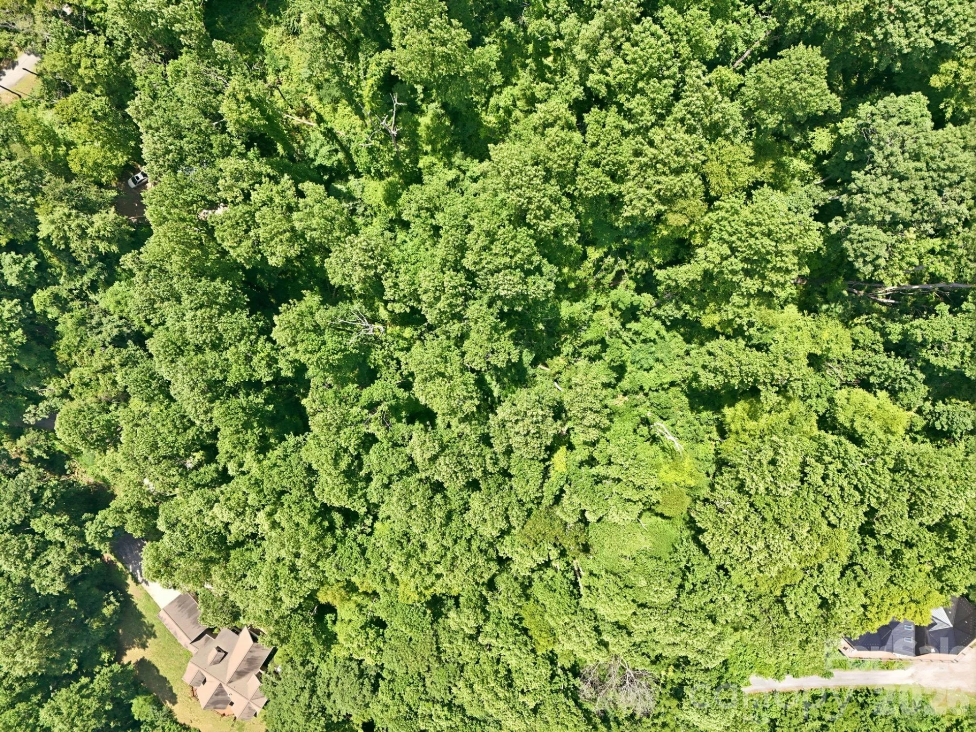 28 Mountain Breeze Trail - Photo 13