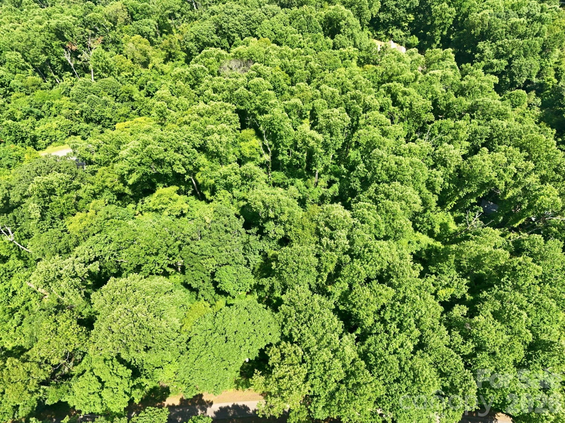 28 Mountain Breeze Trail - Photo 14