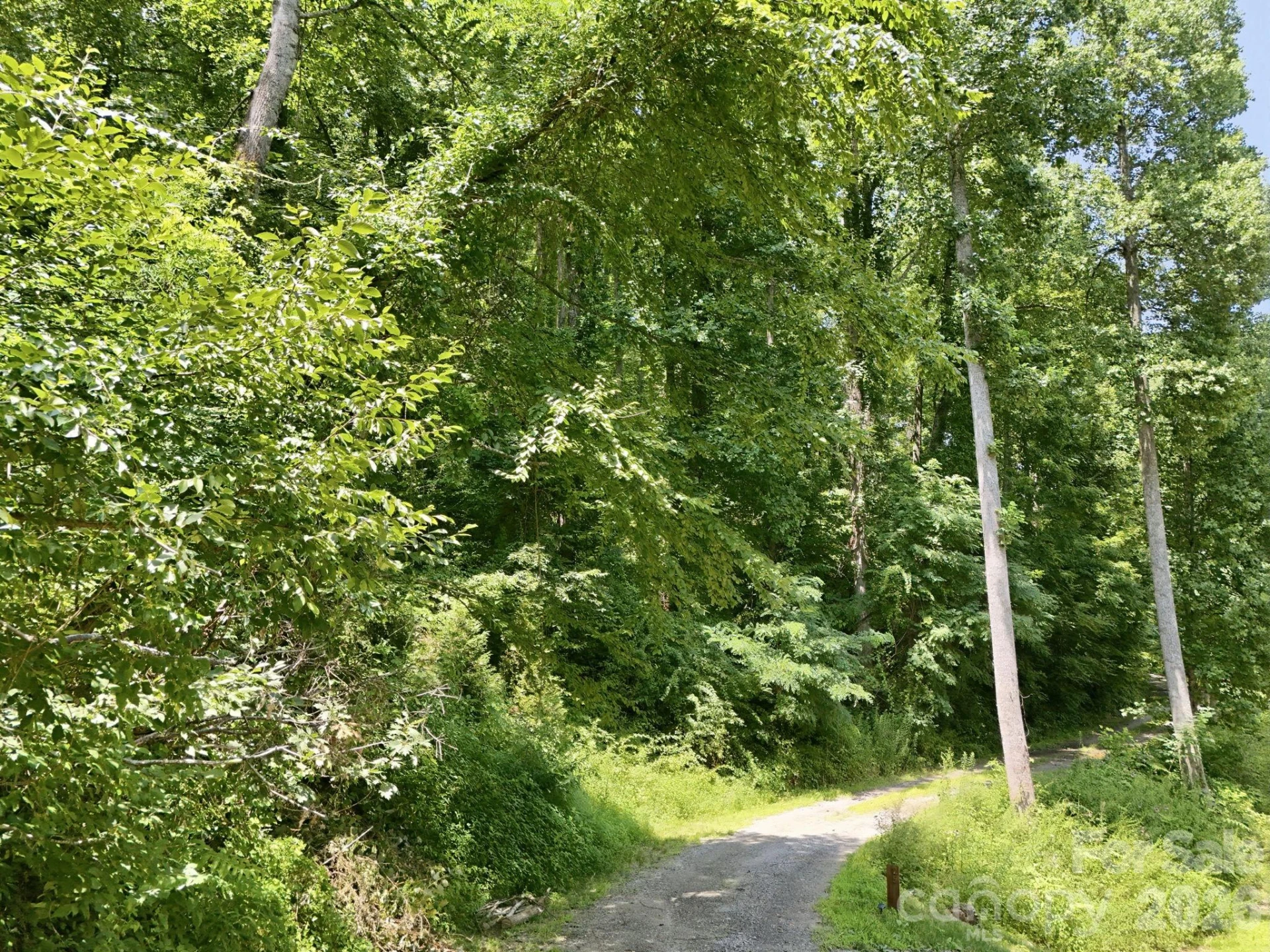 28 Mountain Breeze Trail - Photo 15