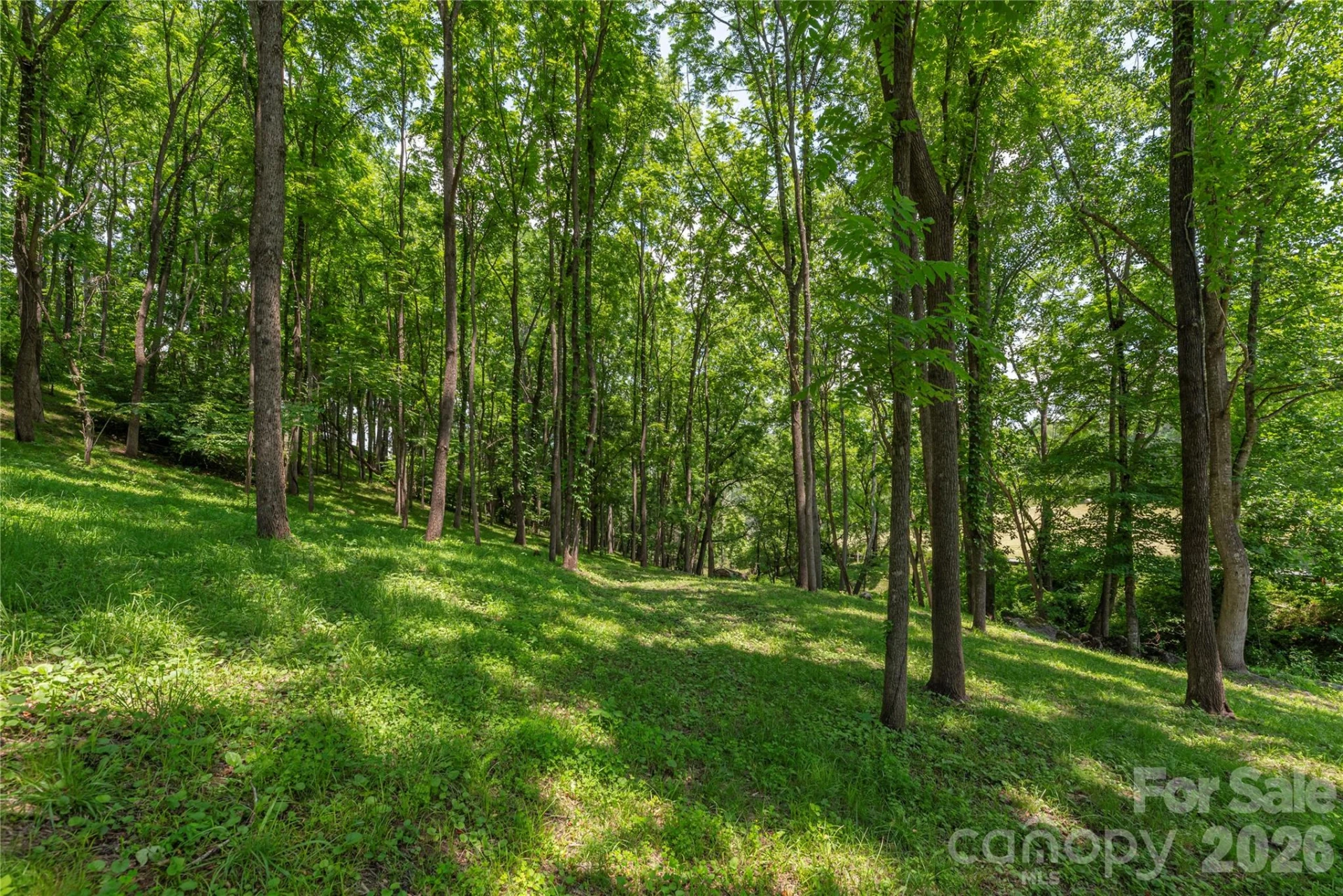 702 Love Joy Road - Photo 16